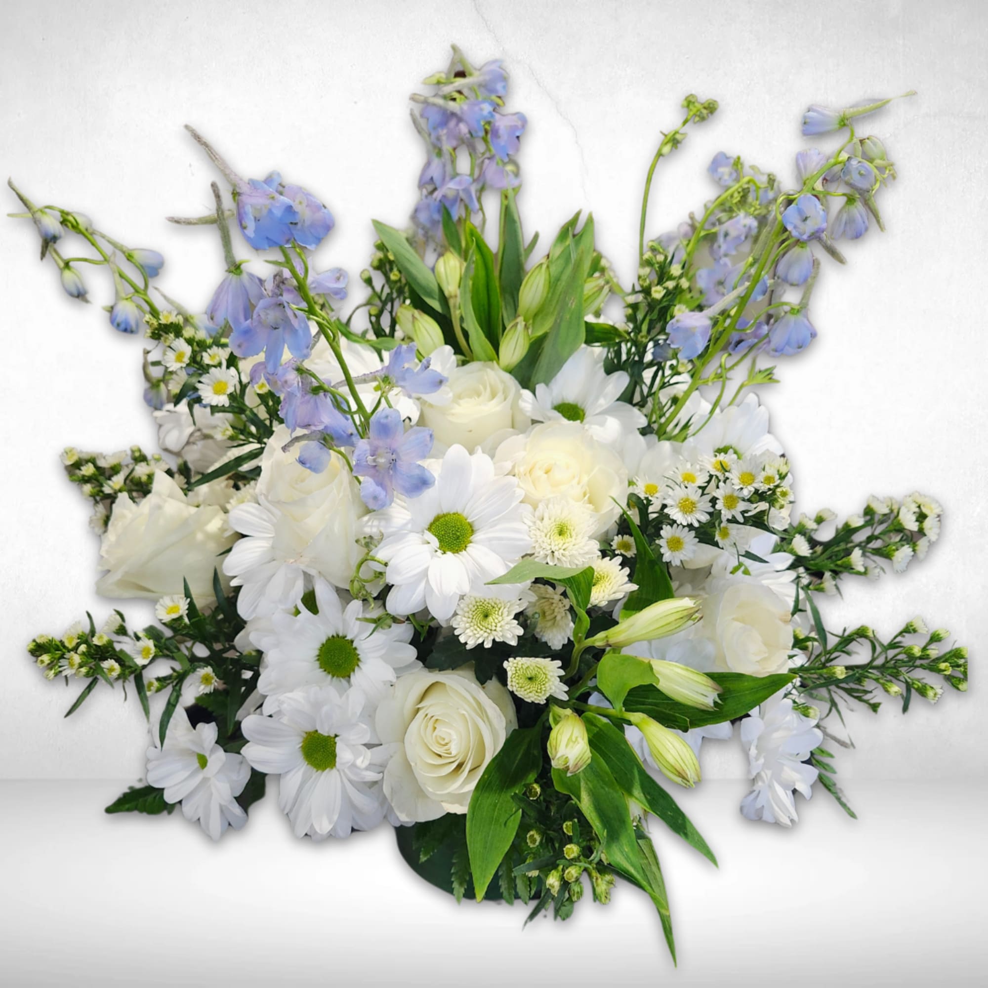 White roses and daisies with blue delphinium in a low arrangement