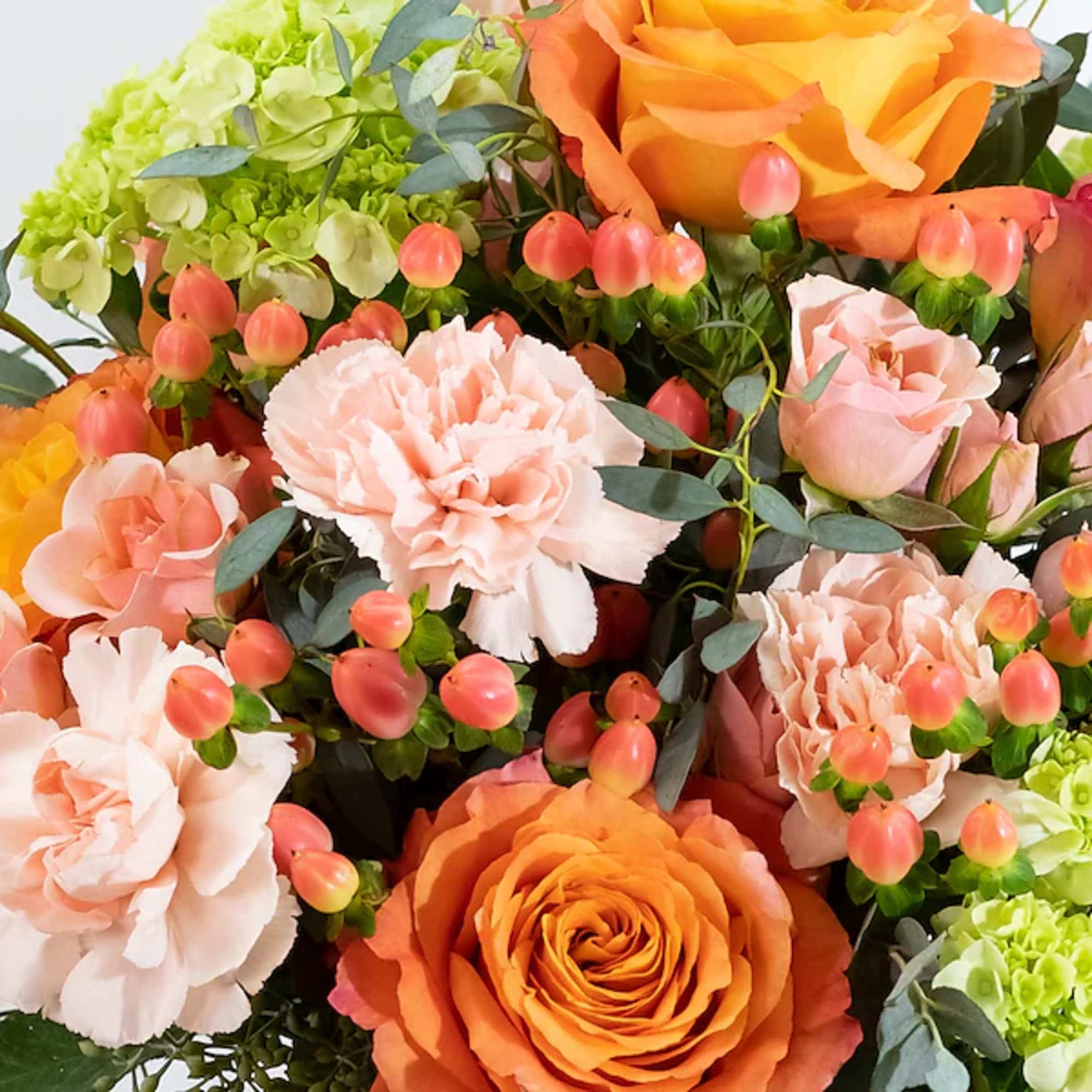 Bouquet of orange roses, peach carnations, and green hydrangeas