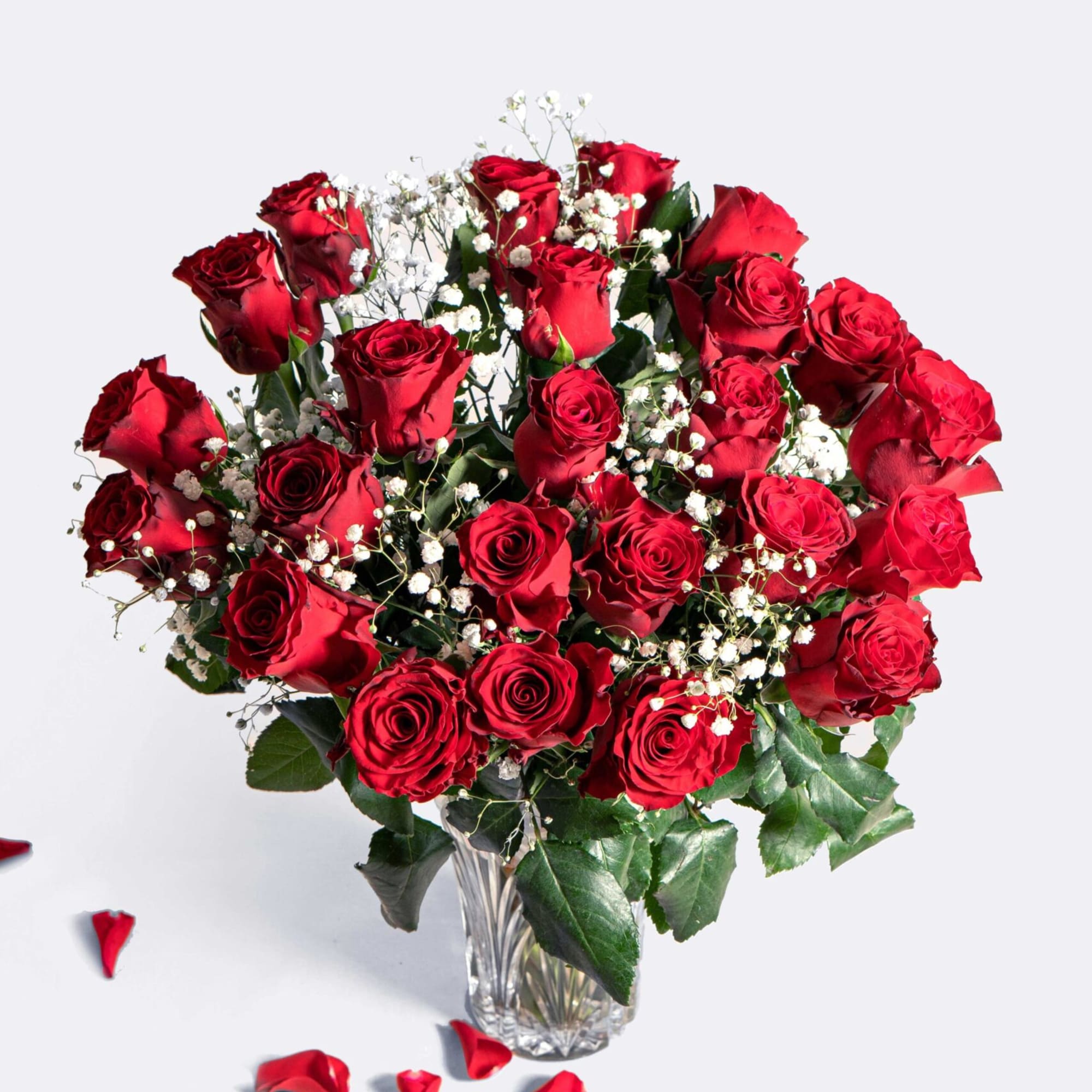 Bouquet of red roses in a clear glass vase with white filler flowers