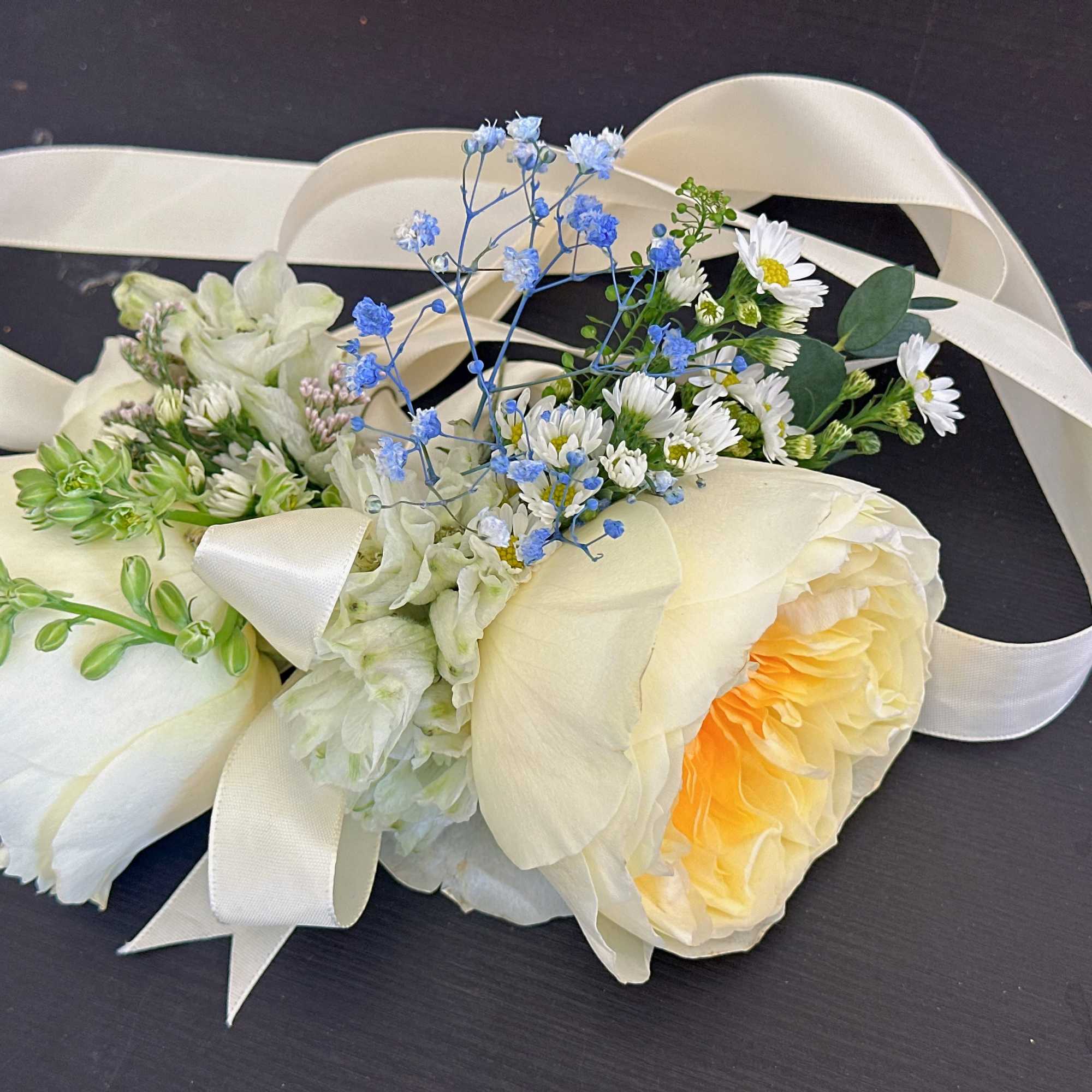 Two cream rose corsages with blue and white flowers and satin ribbon