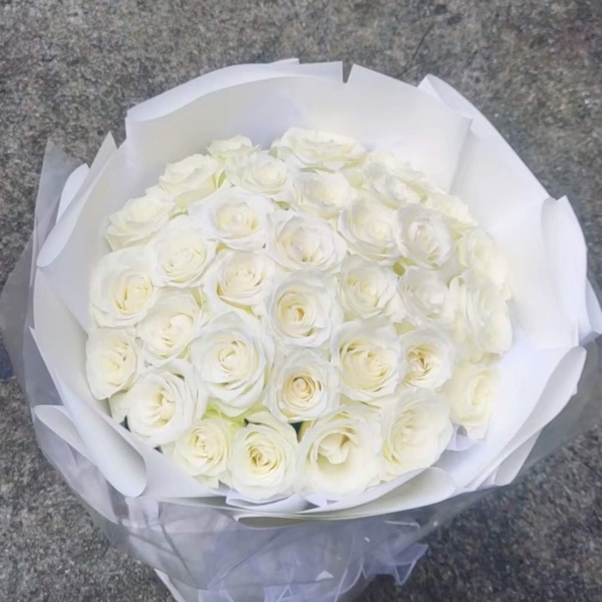 Bouquet of white roses wrapped in white paper with a sheer ribbon