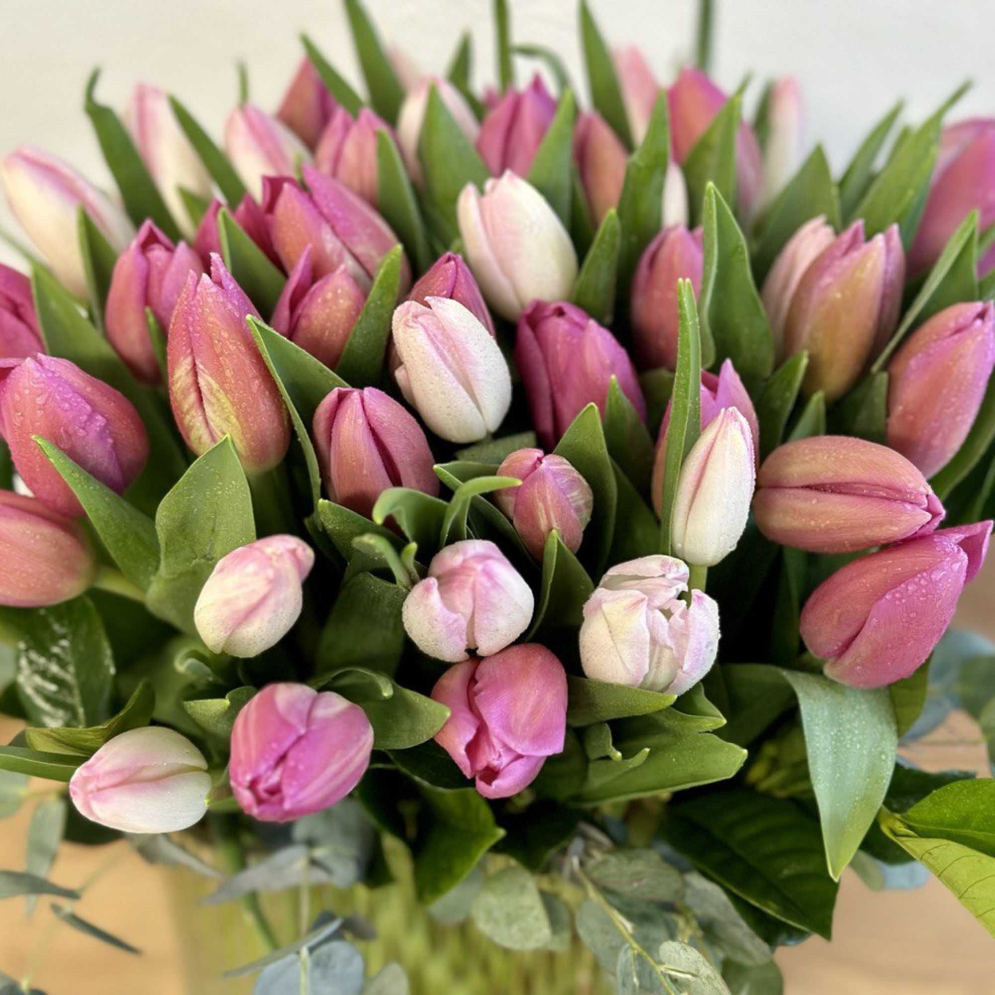 Bouquet of pink and white tulips with green foliage
