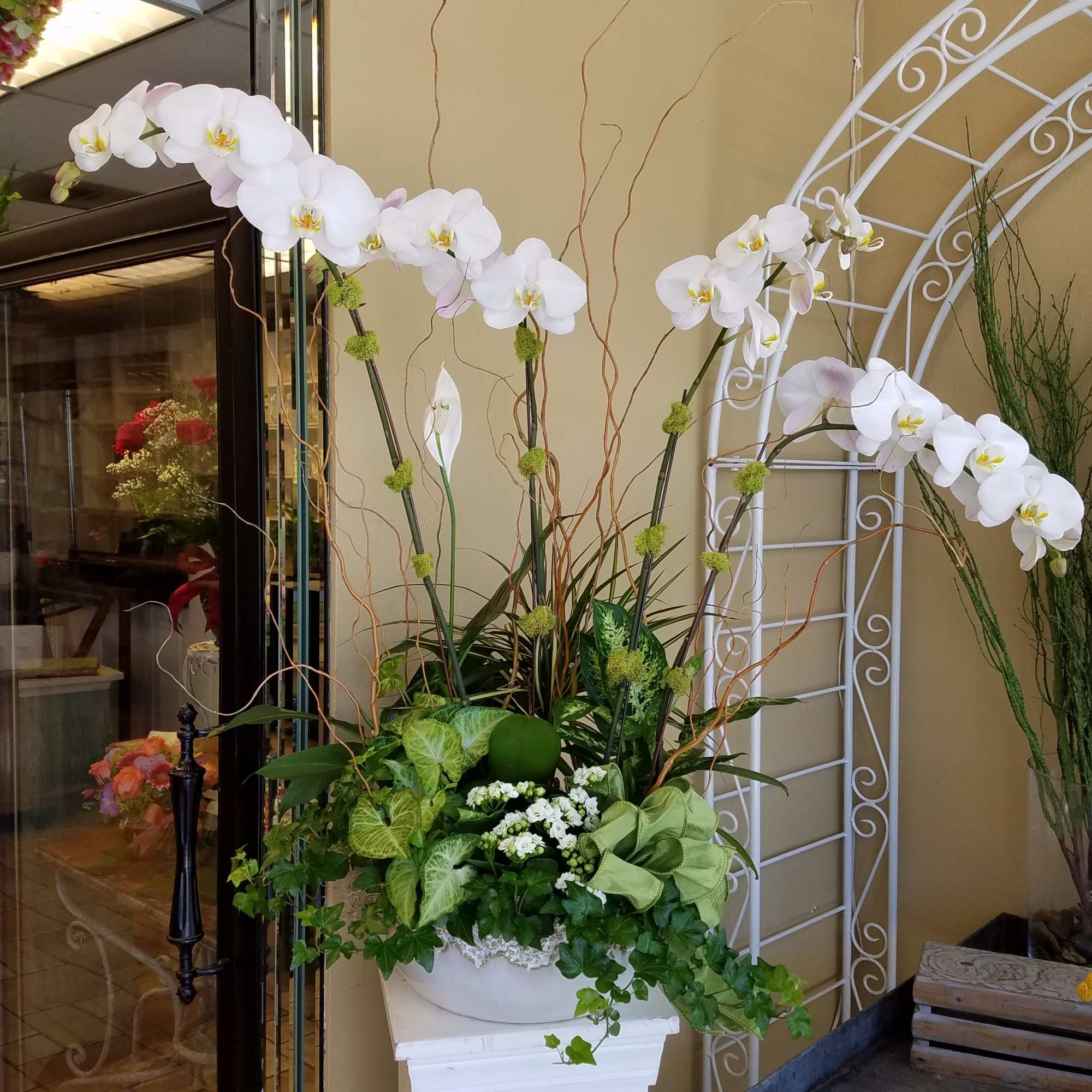 White orchid arrangement in a white planter with trailing greenery