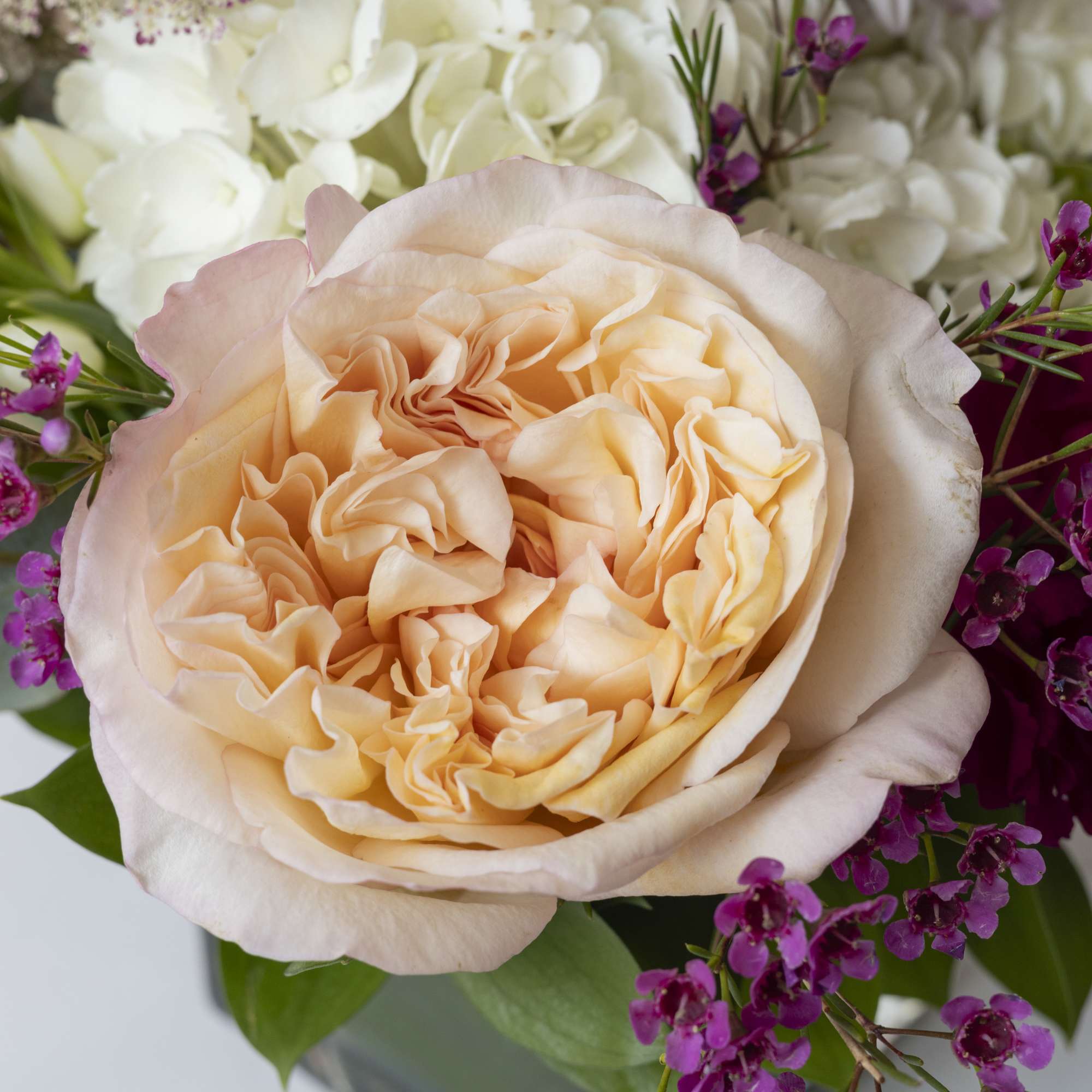 Peach rose surrounded by white blooms and purple filler flowers