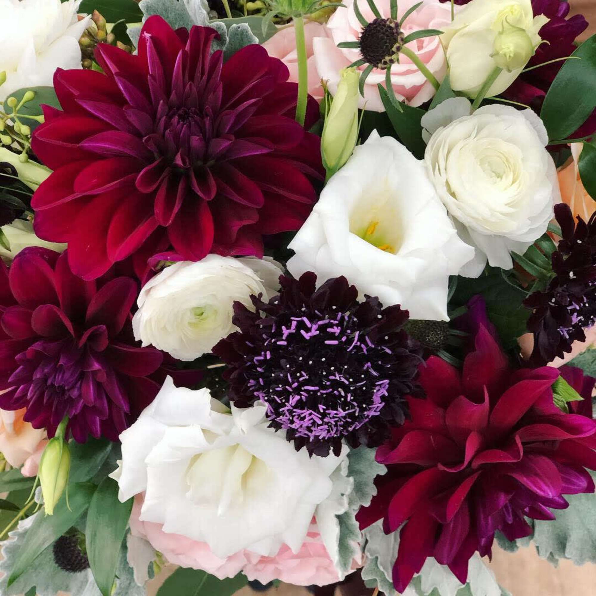 Bouquet of burgundy dahlias, white ranunculus, and white calla lilies