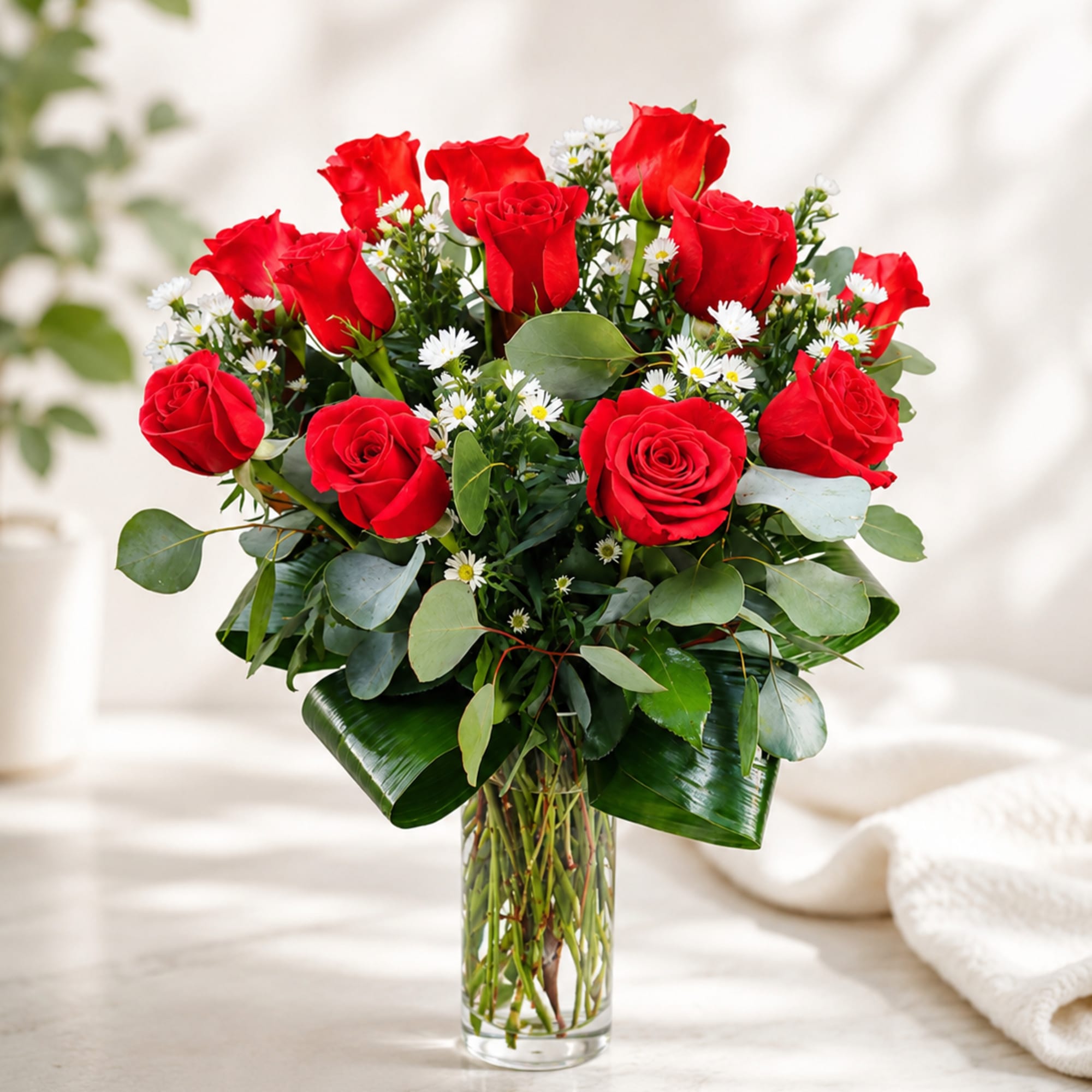 A timeless arrangement of fresh red roses accented with delicate white filler