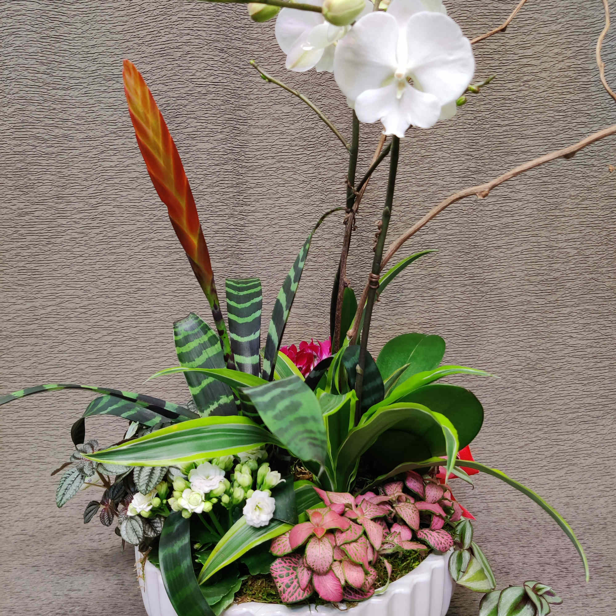 White orchid arrangement in a white ceramic planter with assorted foliage