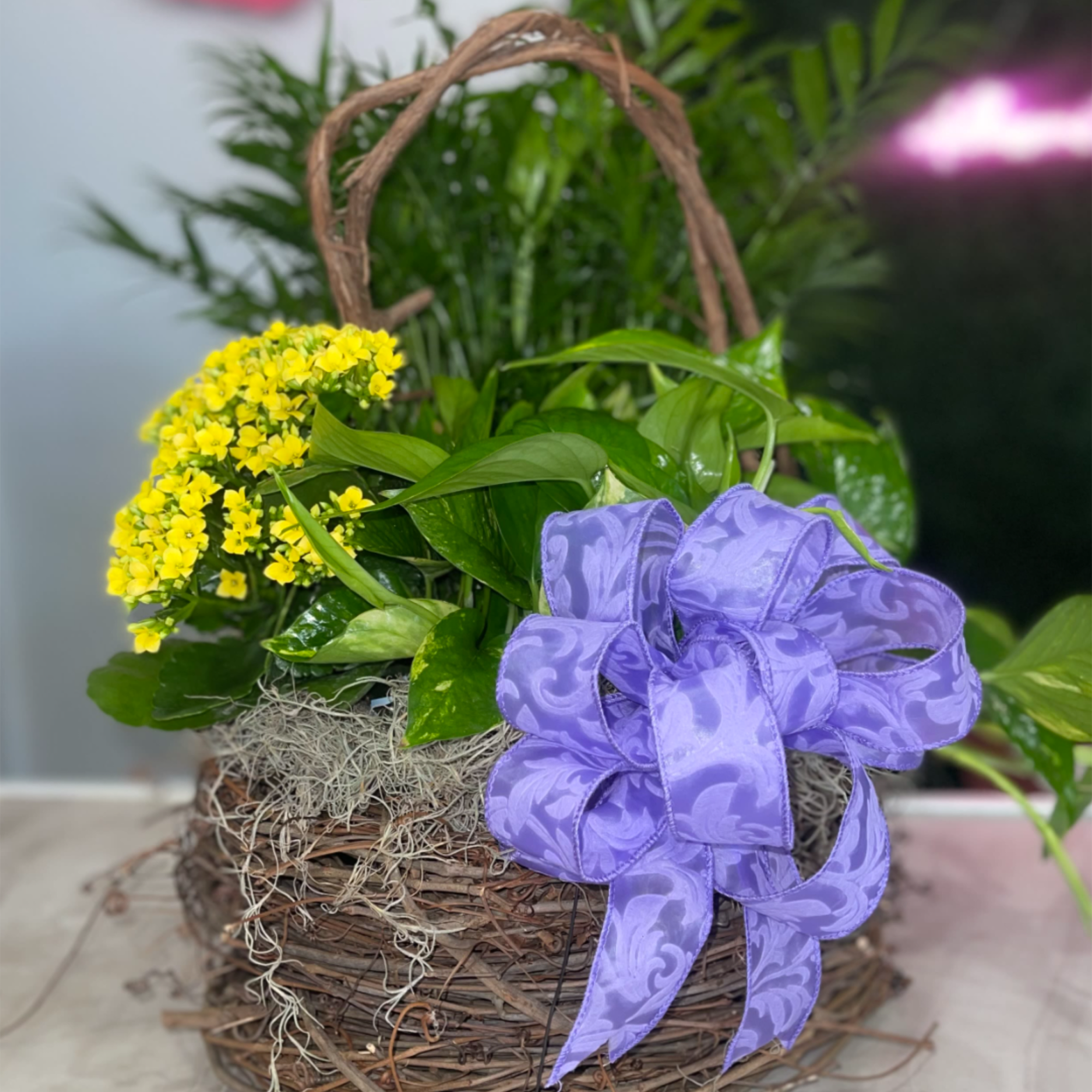 A deep green fresh plant filled basket to bring life and peace, photo 2 of 2
