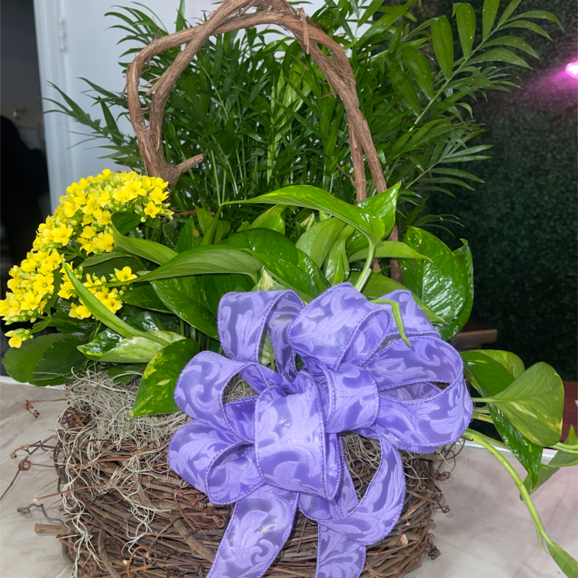 A deep green fresh plant filled basket to bring life and peace