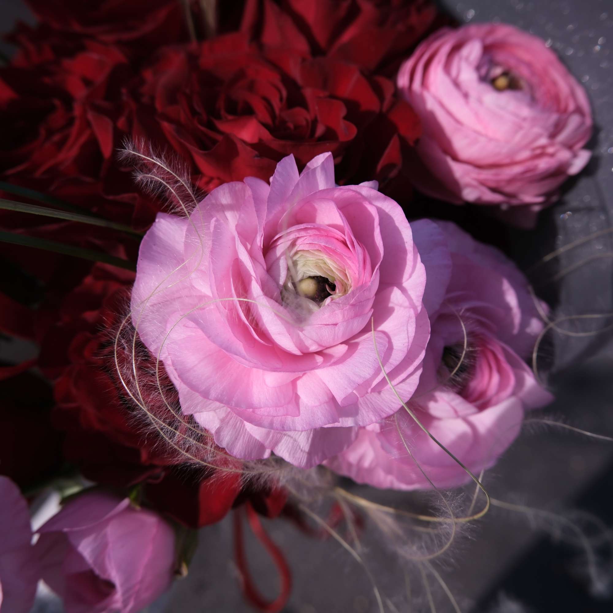 Pink ranunculus and deep red roses in a dark bouquet wrap