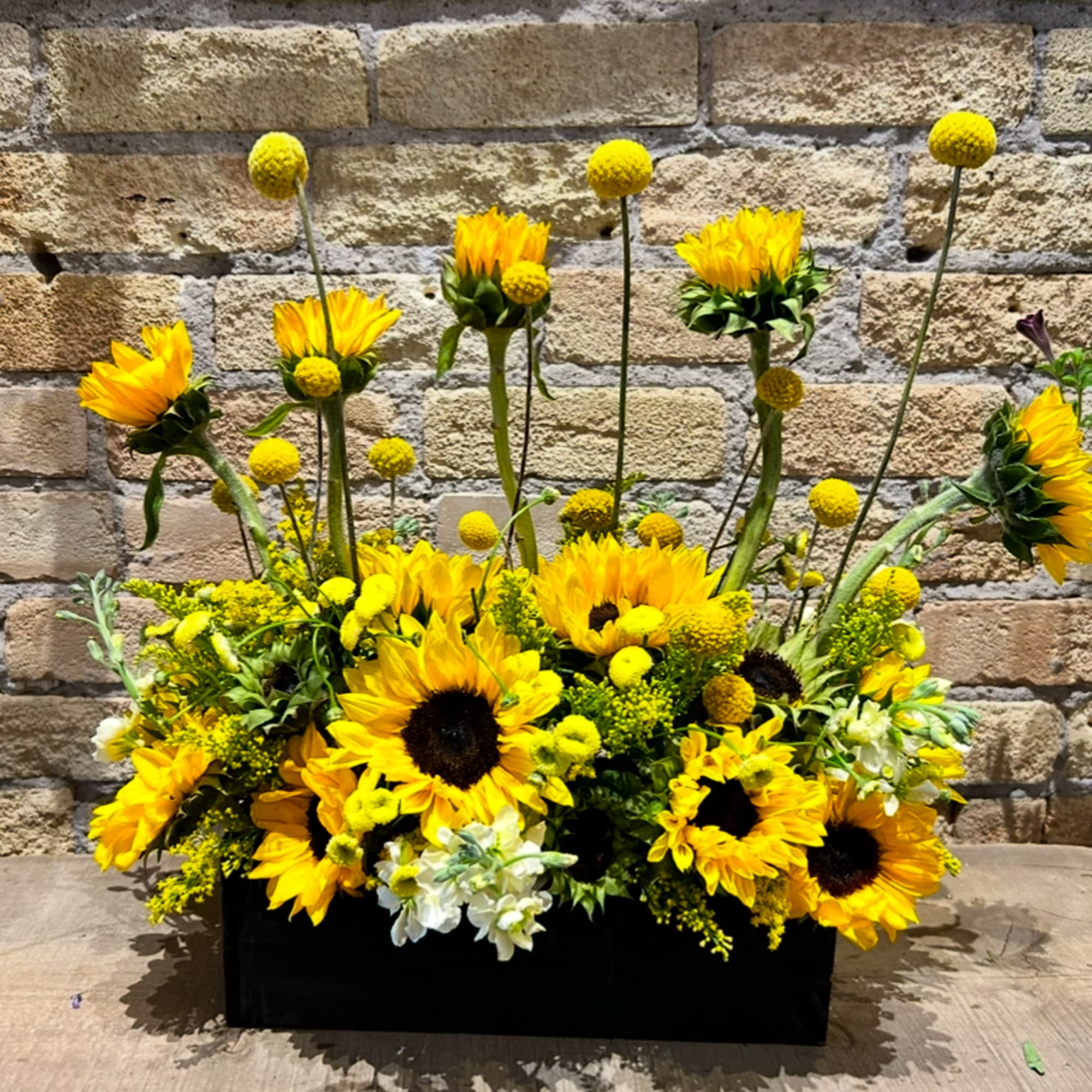 Yellow sunflowers and button mums arranged in a black rectangular container