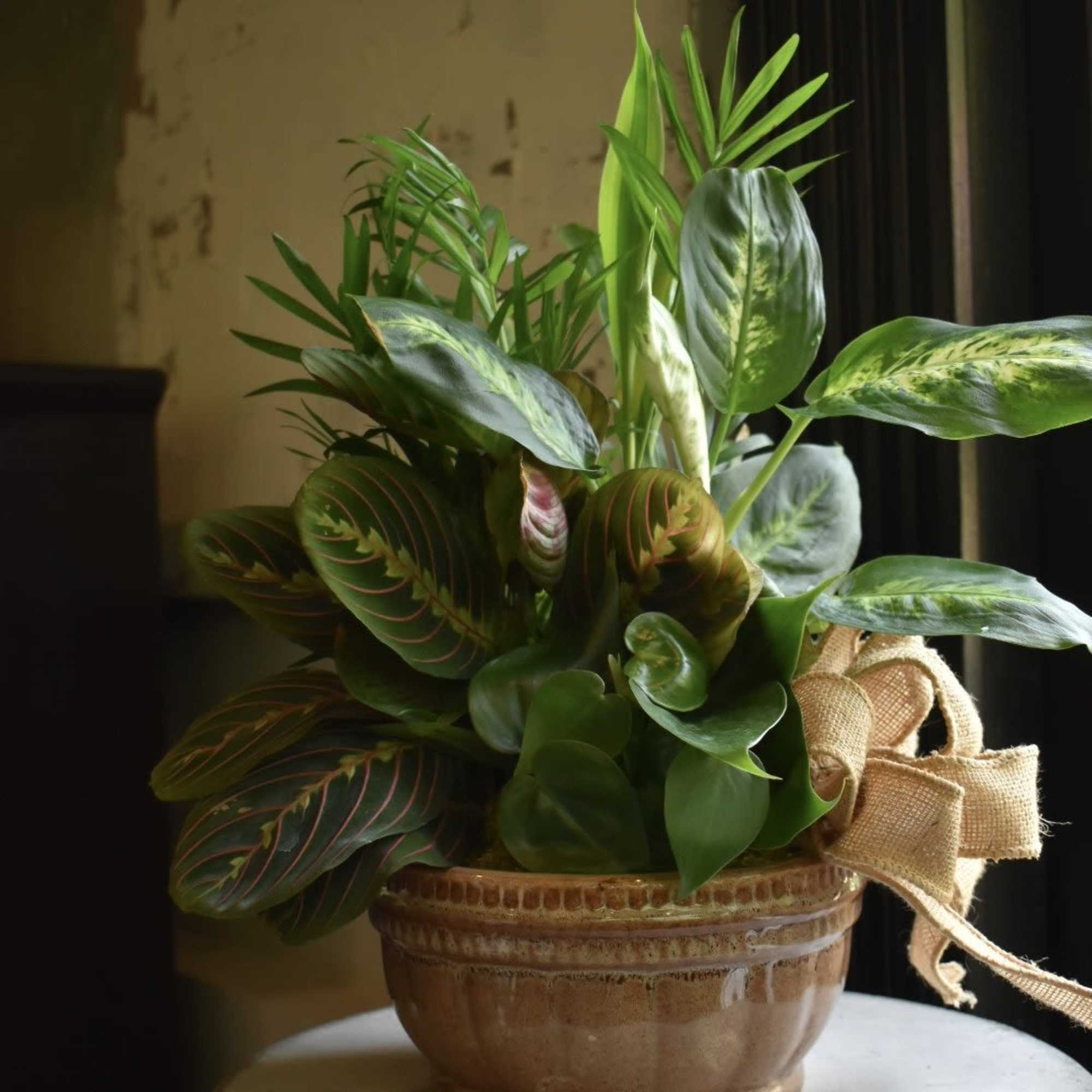 Containing a varied assortment of 6 green plants, this dish garden arrives