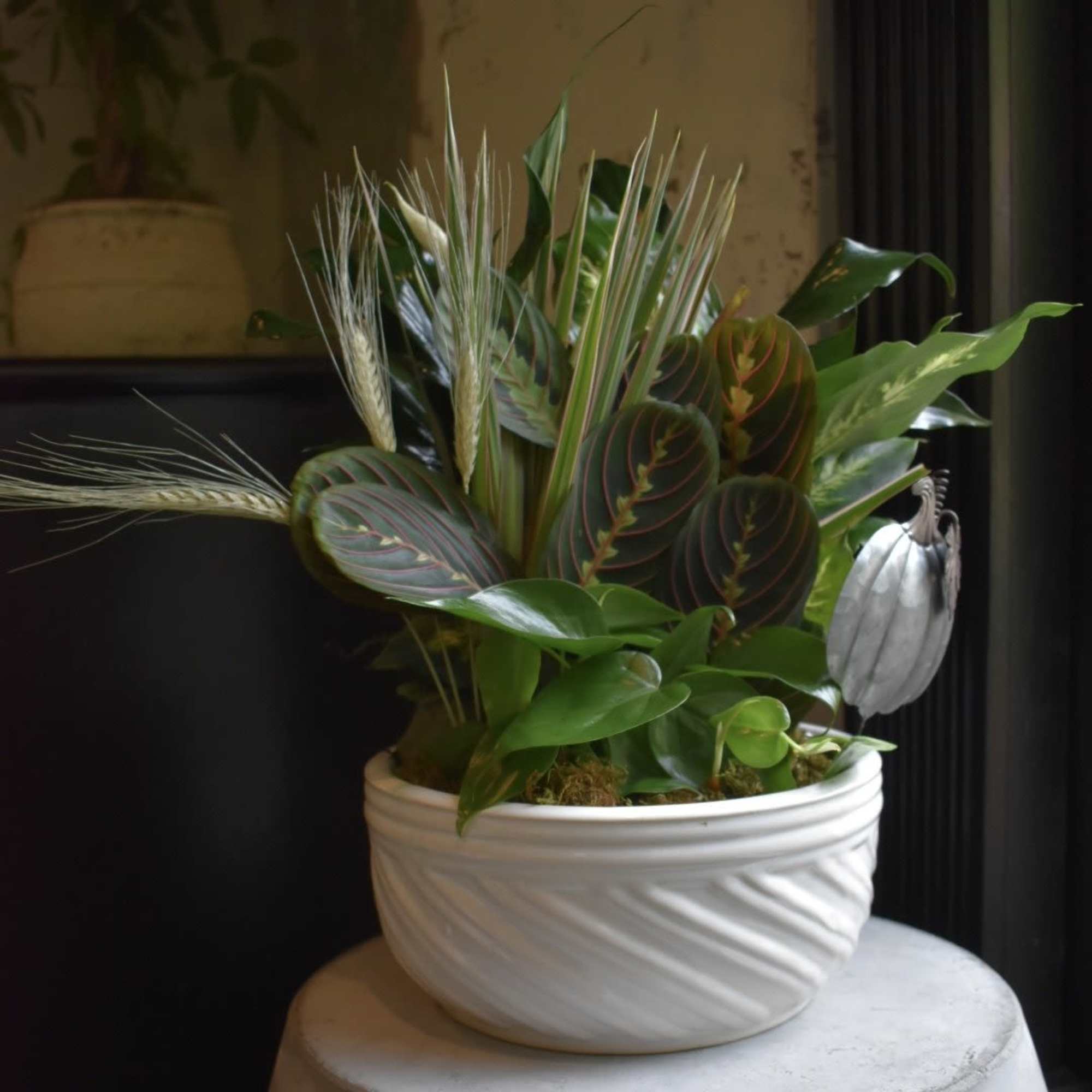 Containing a varied assortment of 6 green plants, this dish garden arrives, photo 2 of 2