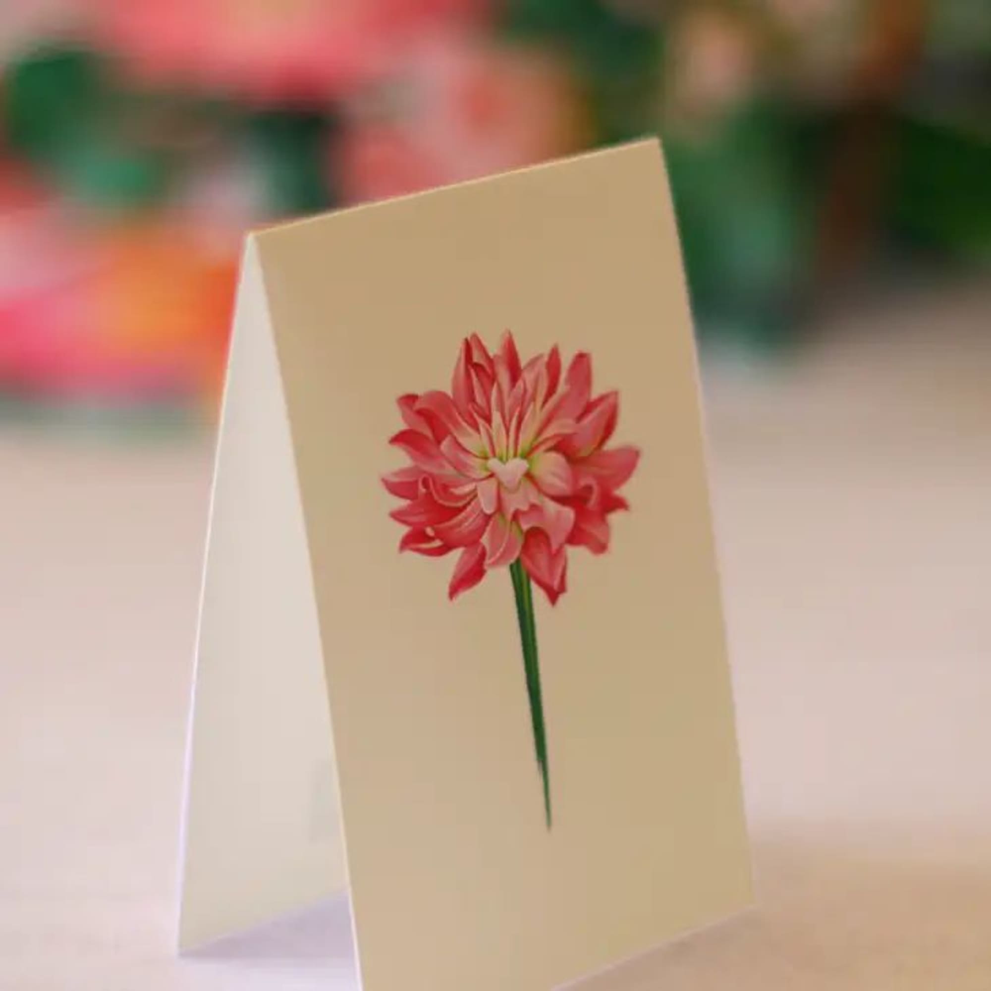 Folded cream greeting card with a single pink flower illustration on the front