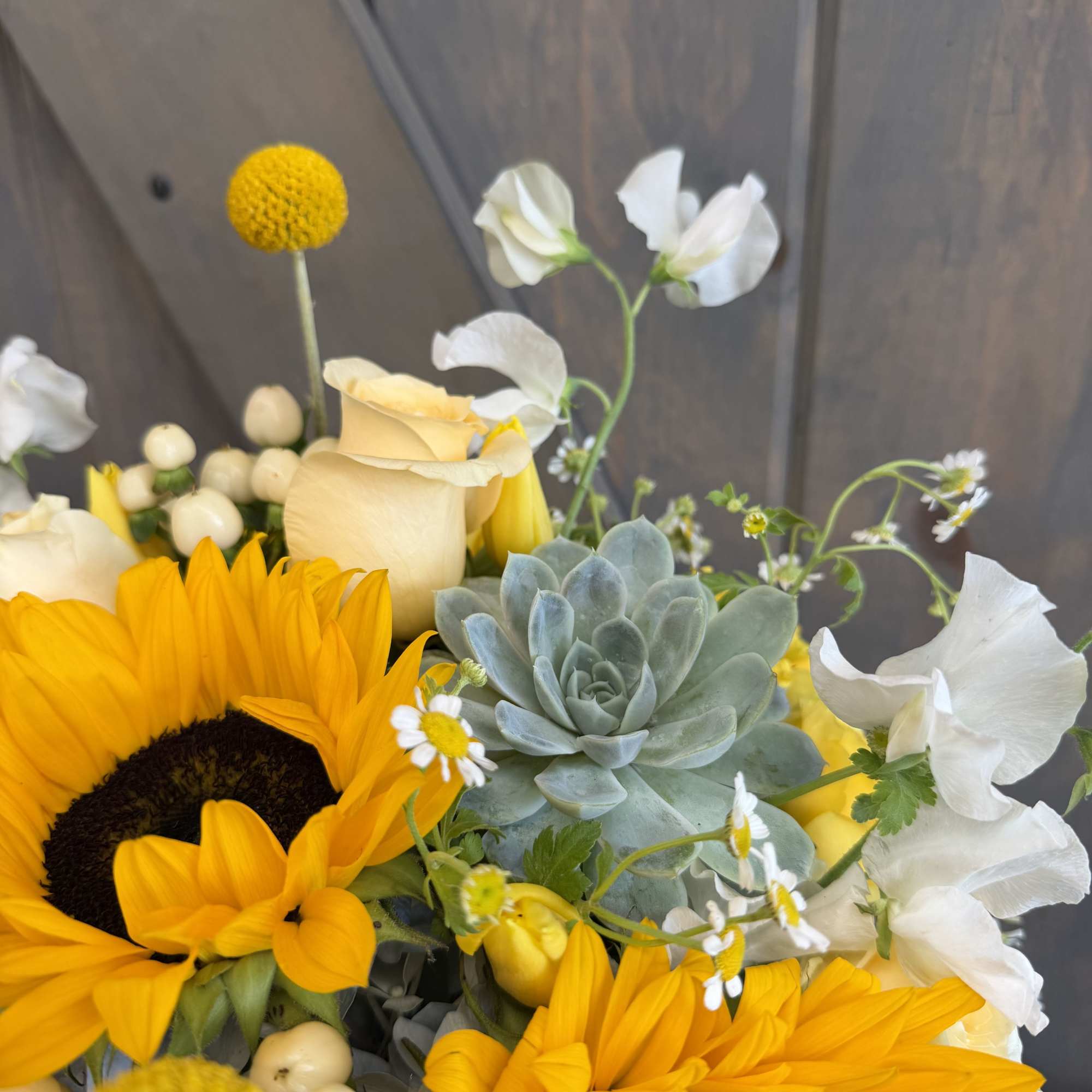 Inspired by the golden light and coastal beauty of Palos Verdes, Sunshine, photo 4 of 4