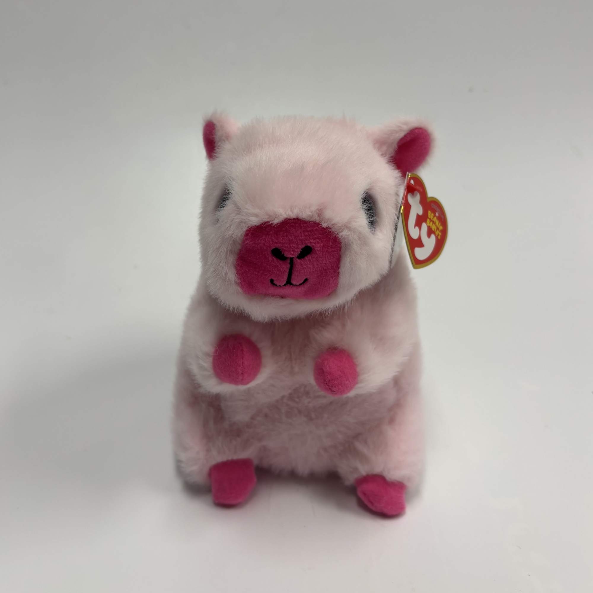 TY - PETAL CAPYBARA