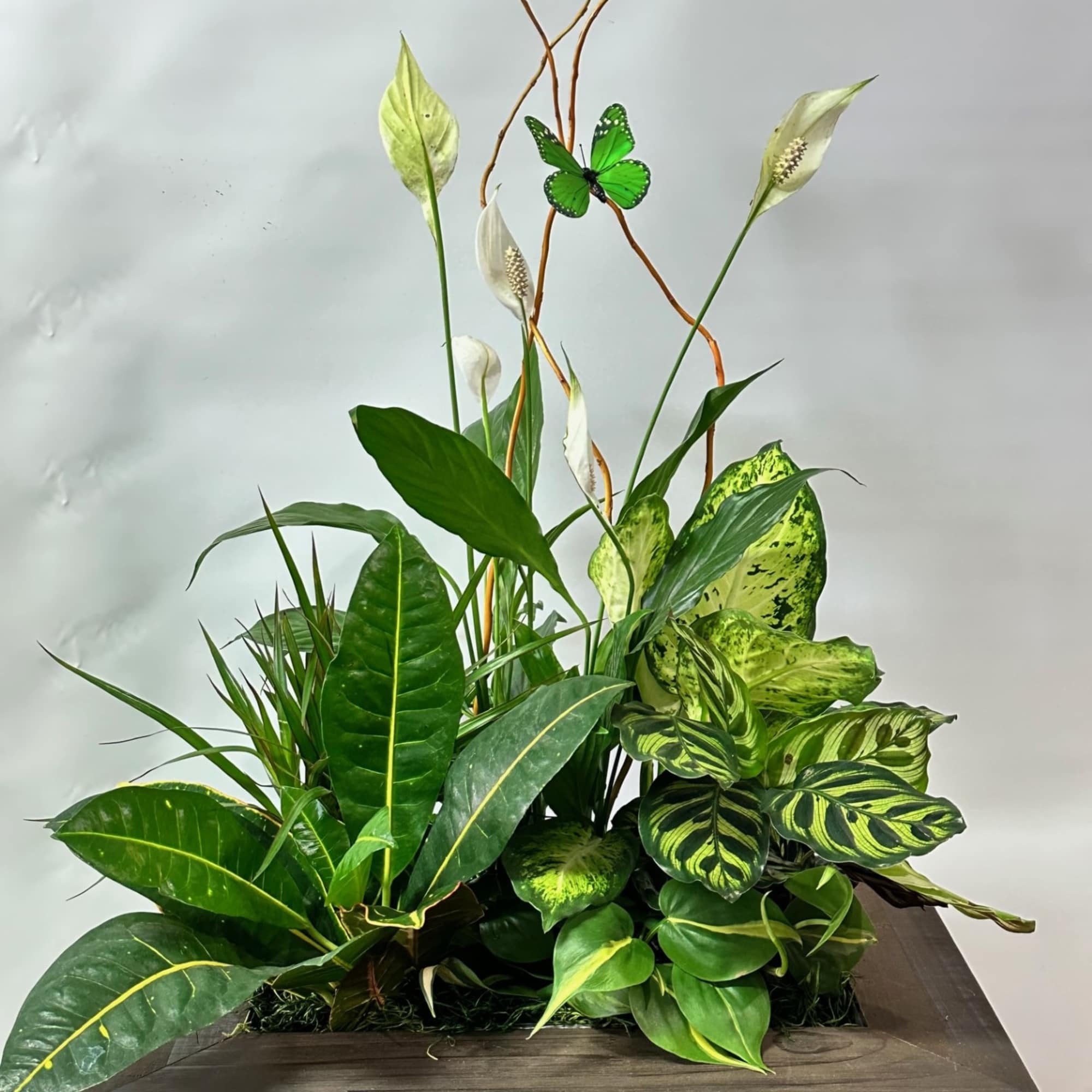 Tropical plant arrangement with white peace lilies in a dark planter