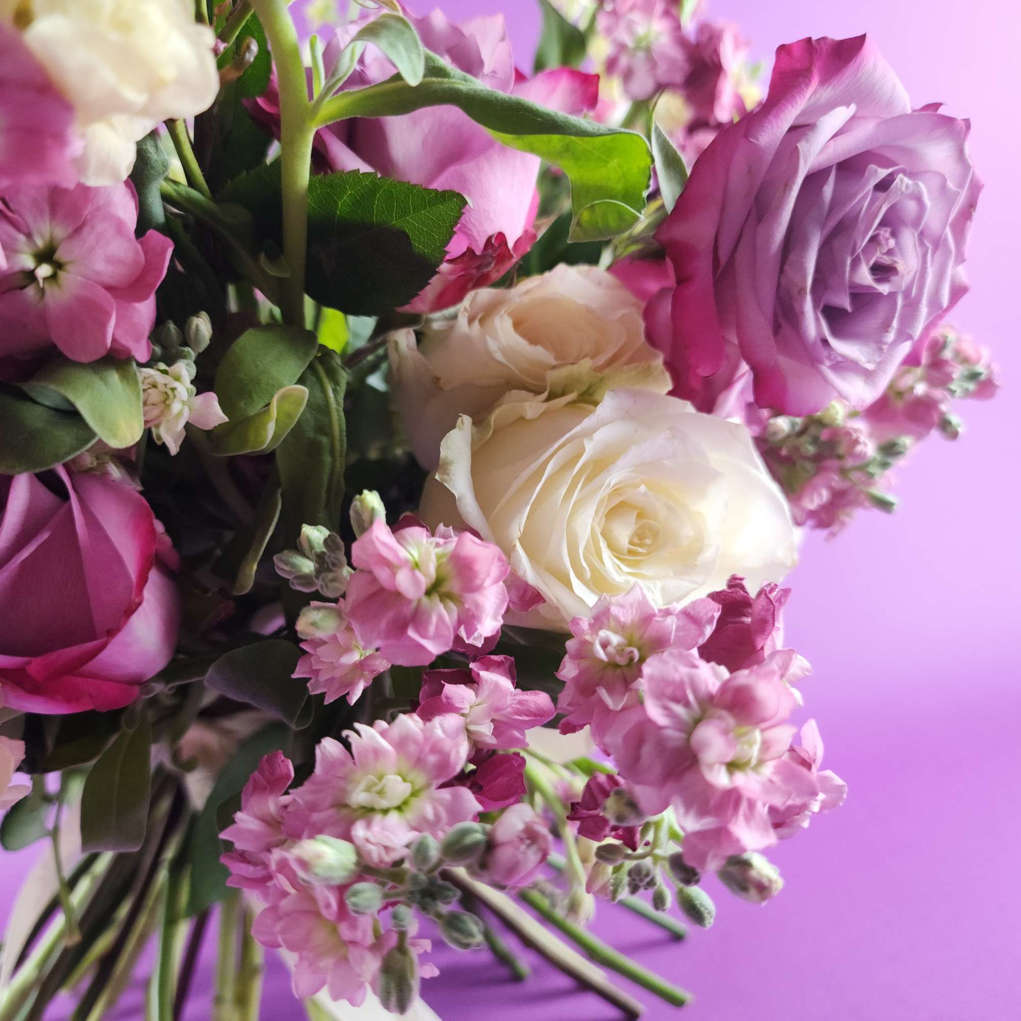 Close-up bouquet of pink and white roses with small pink filler flowers