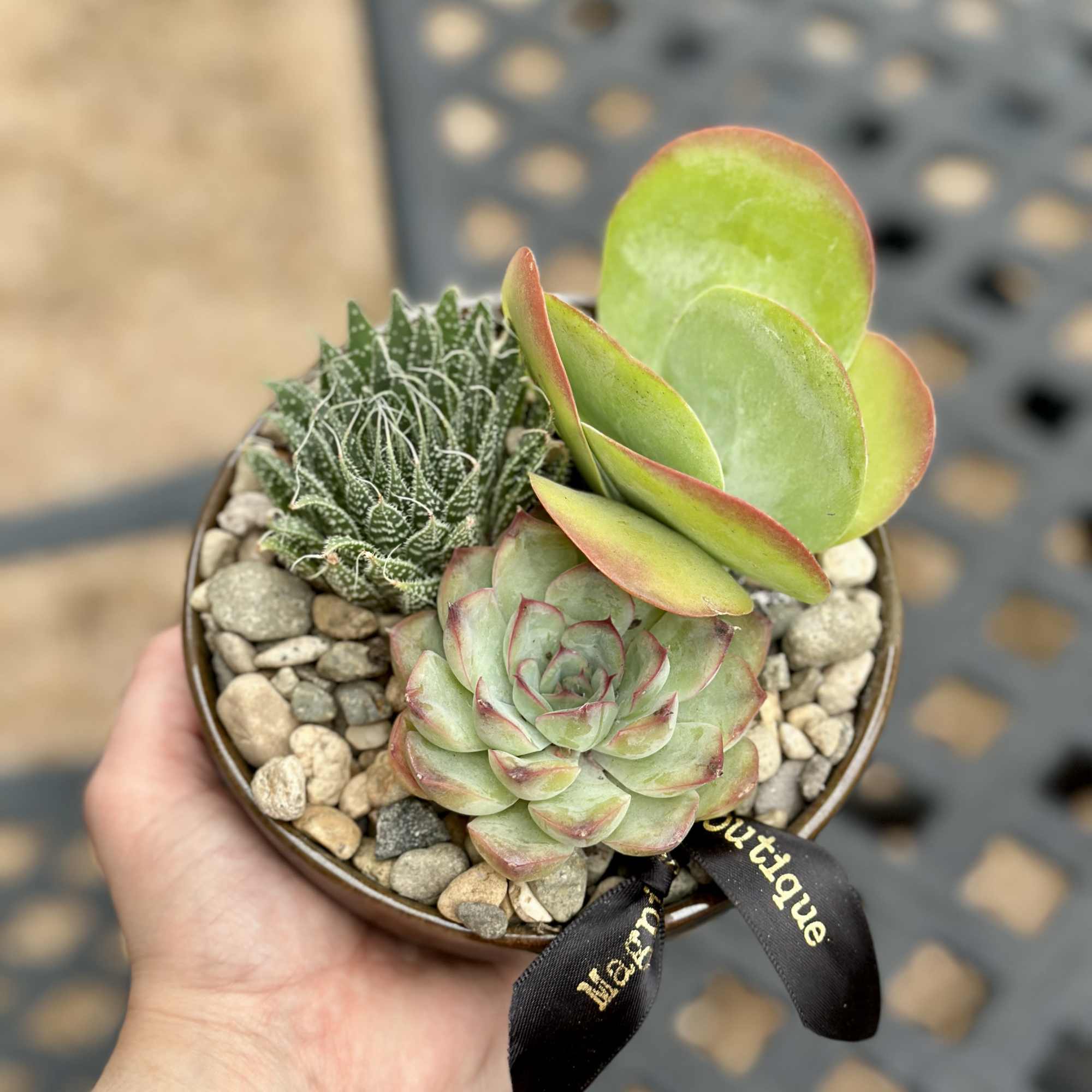 For the plant lover who values simplicity. This 5-inch low bowl features, photo 2 of 5