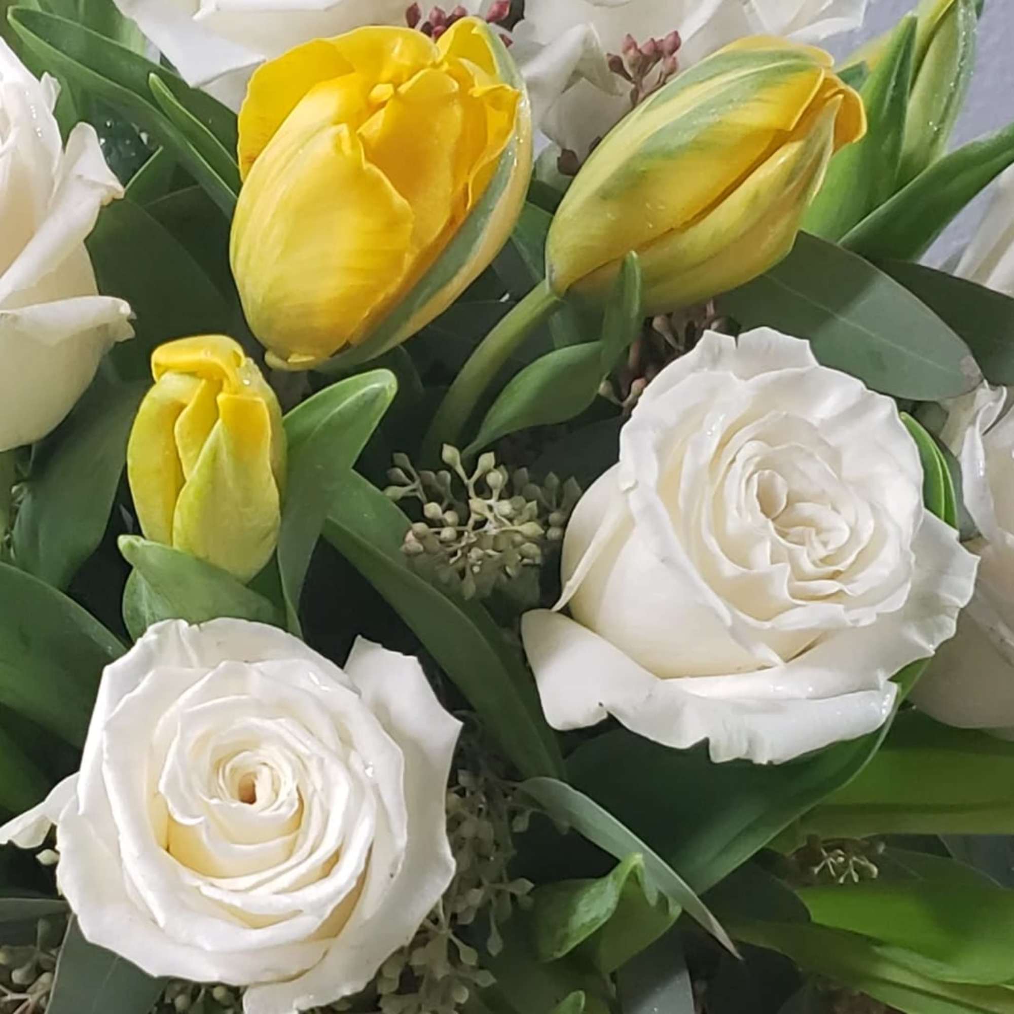White roses and yellow tulips in a mixed bouquet