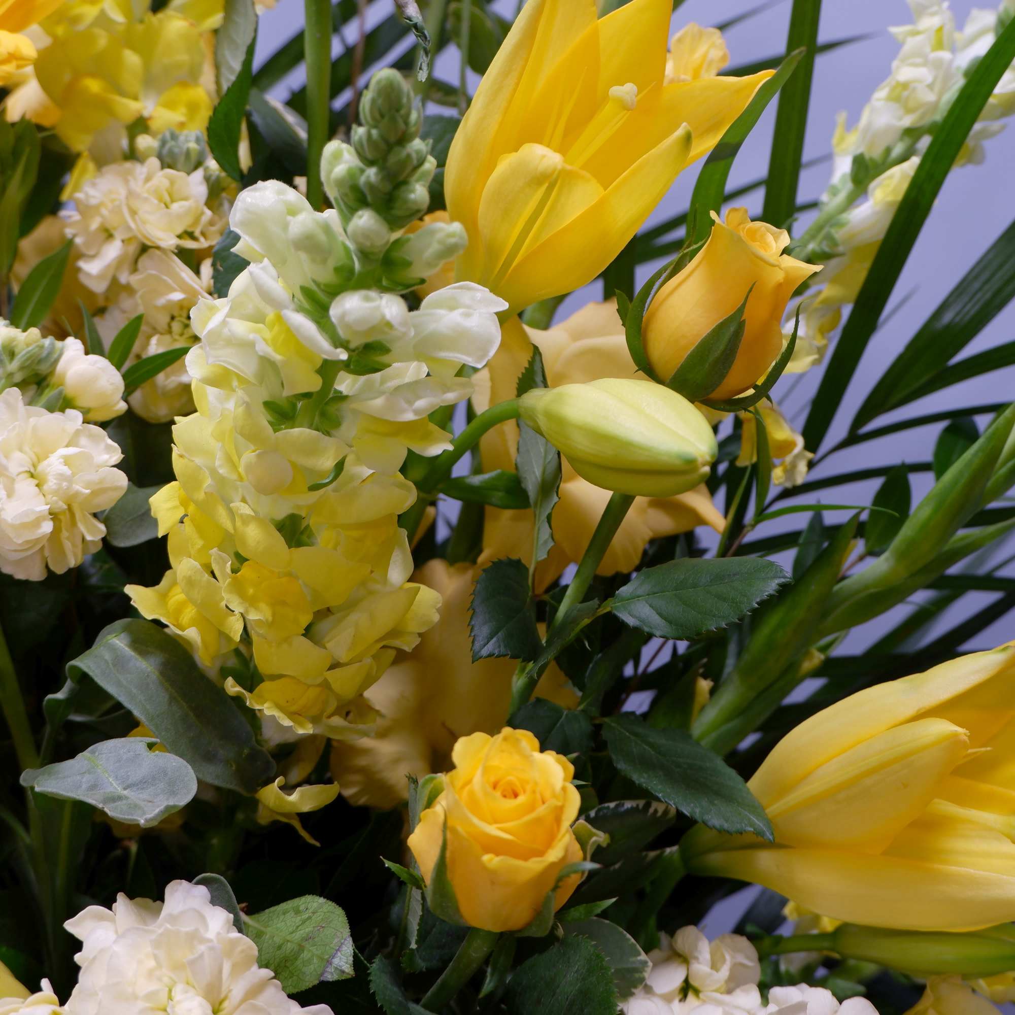Yellow flowers with white blooms in a mixed bouquet