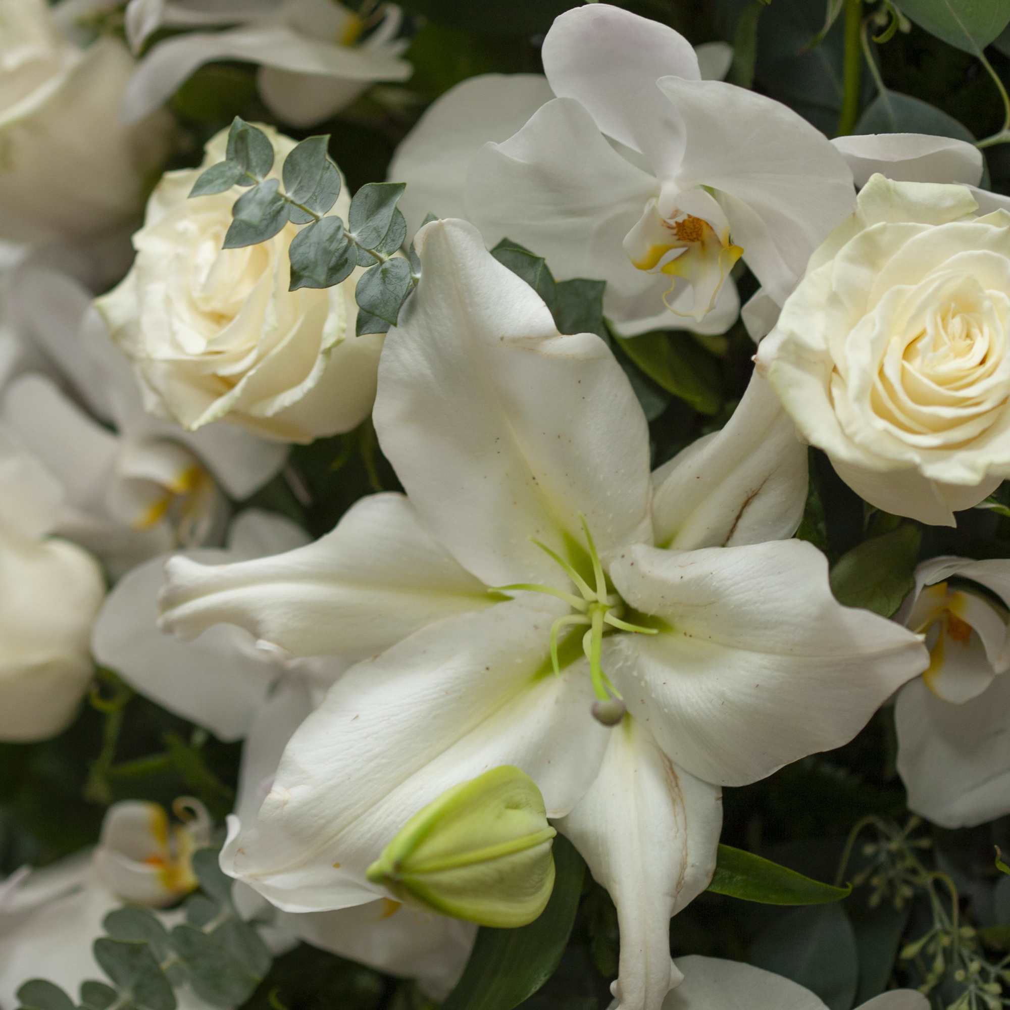 White lilies and cream roses in a dense floral arrangement
