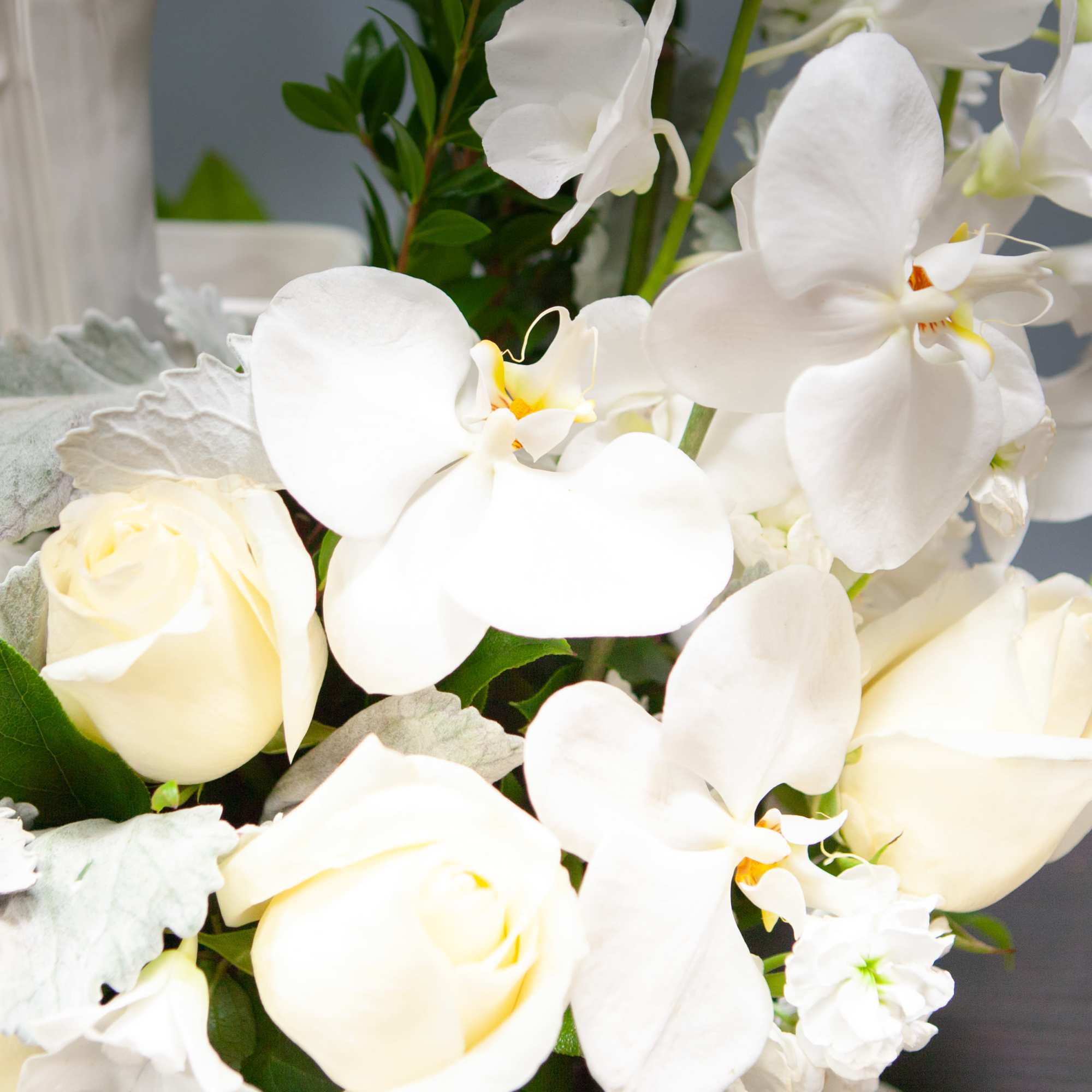White roses and orchids arranged in a bouquet