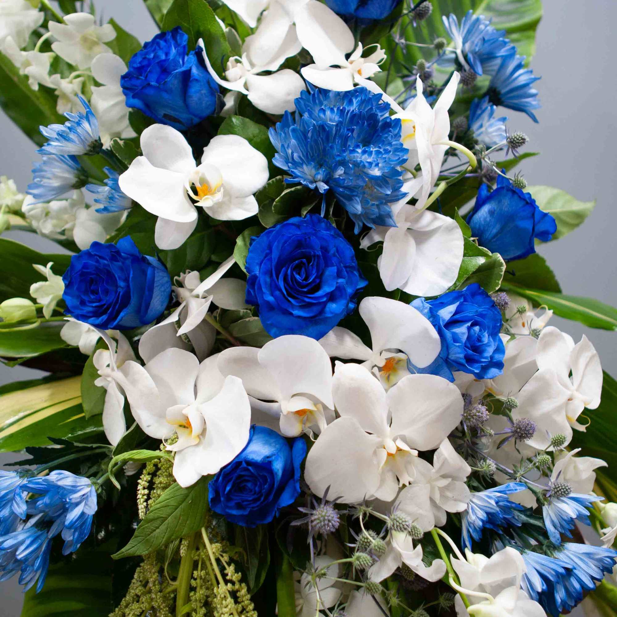 Blue and white floral arrangement with roses and orchids