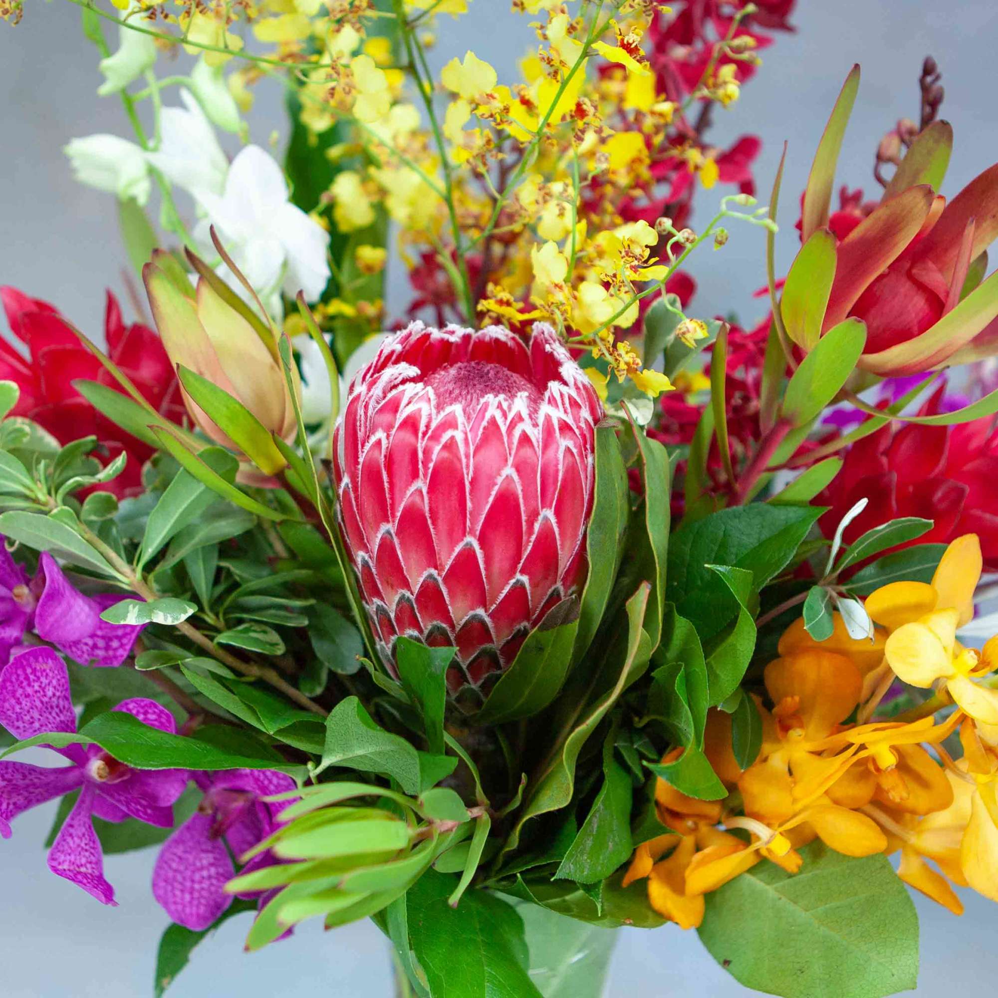 Colorful tropical bouquet with a red protea and purple orchids