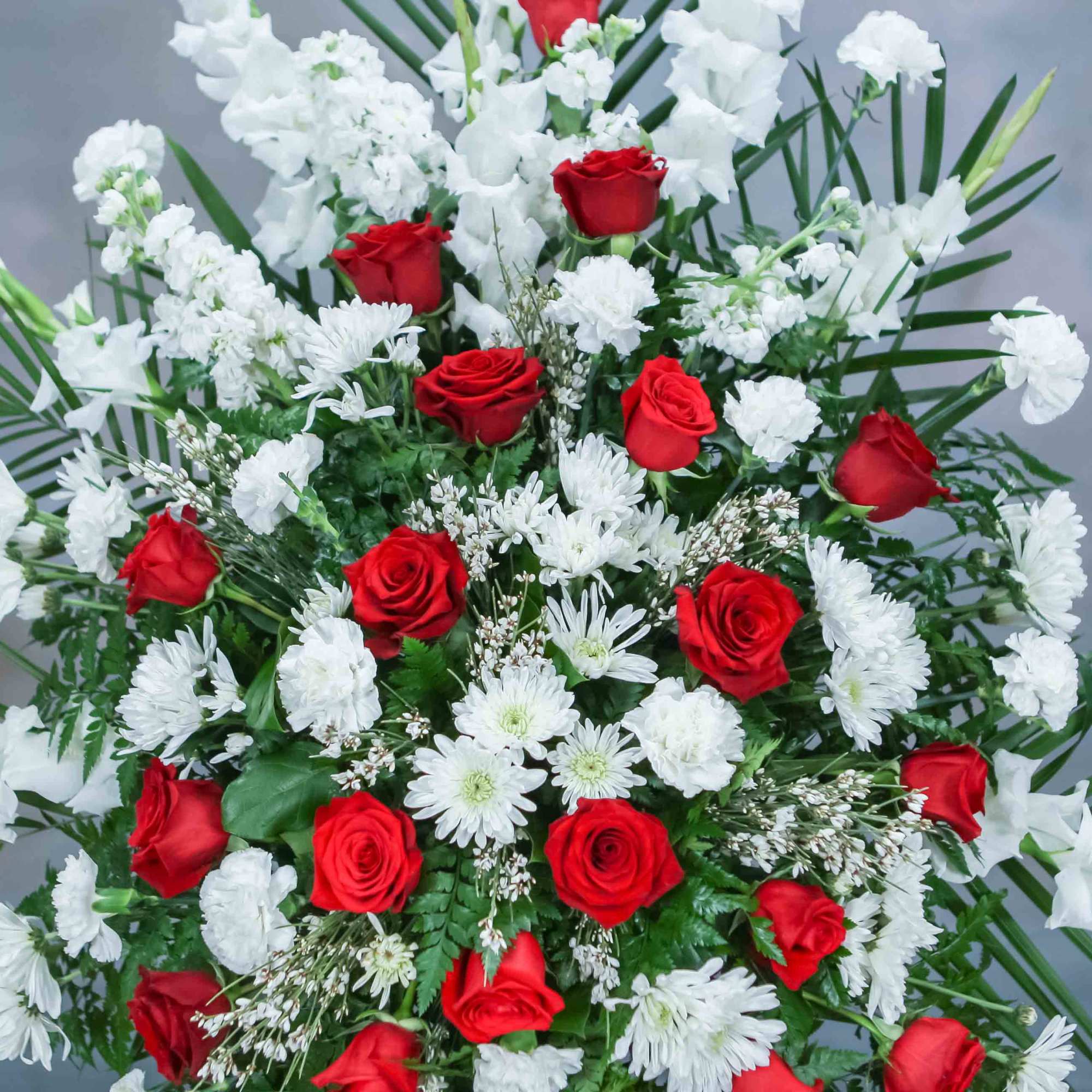 Red roses and white chrysanthemums in a large floral spray