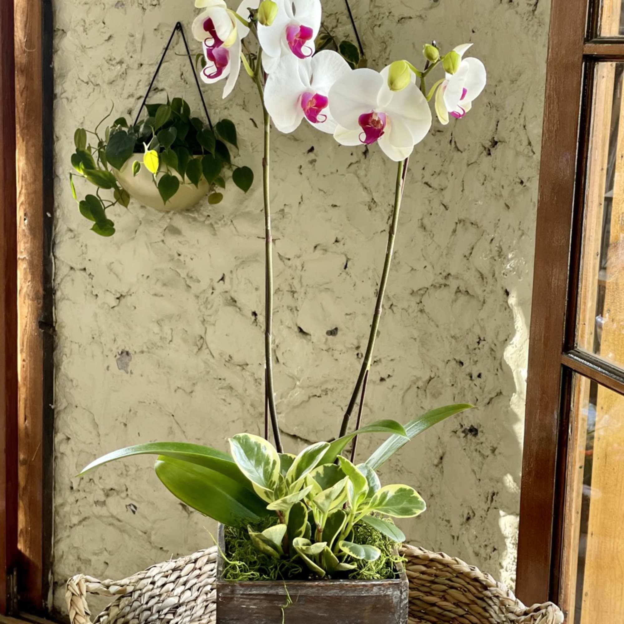 White orchids in a wooden planter with a small potted plant