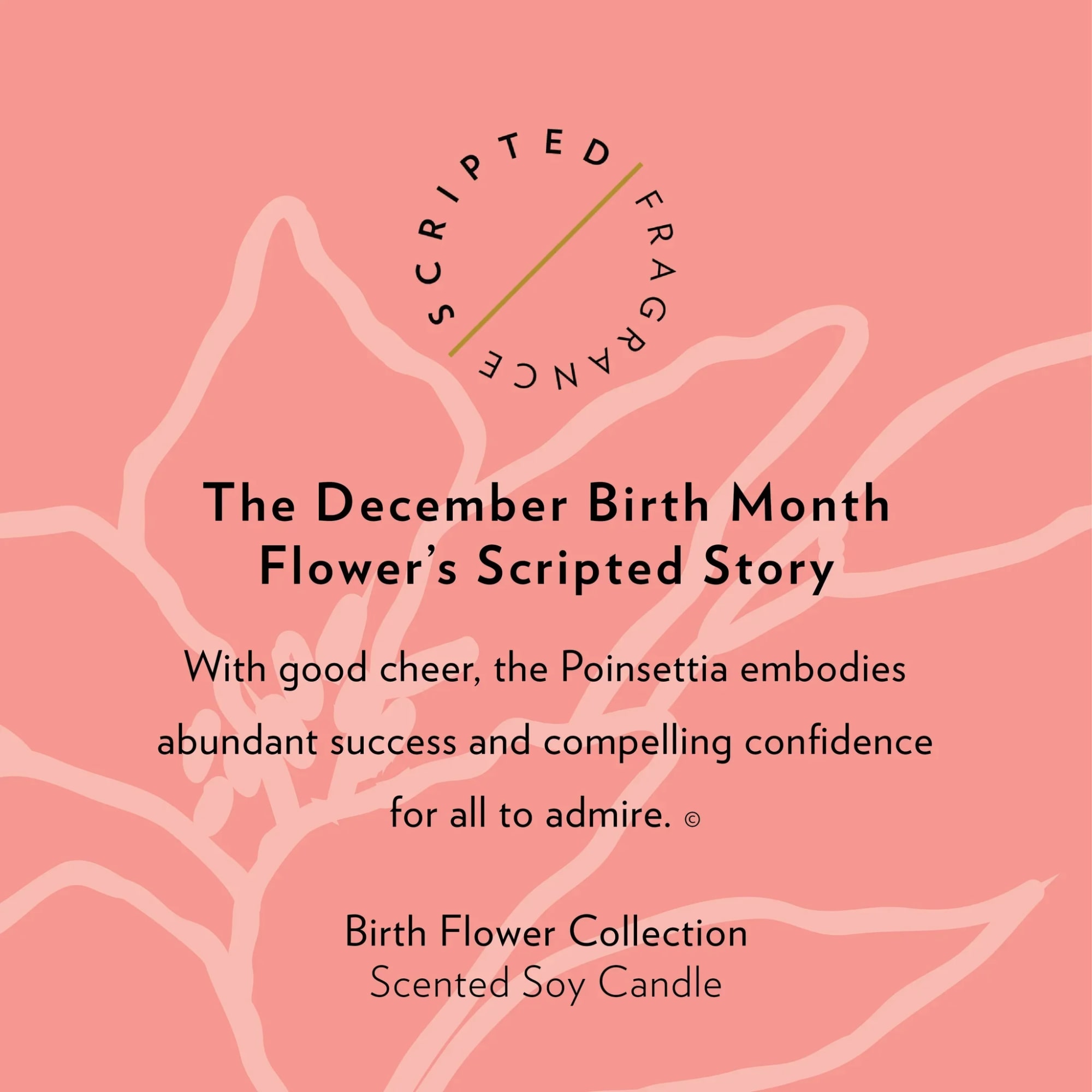 Pink candle label with text about December birth flower poinsettia