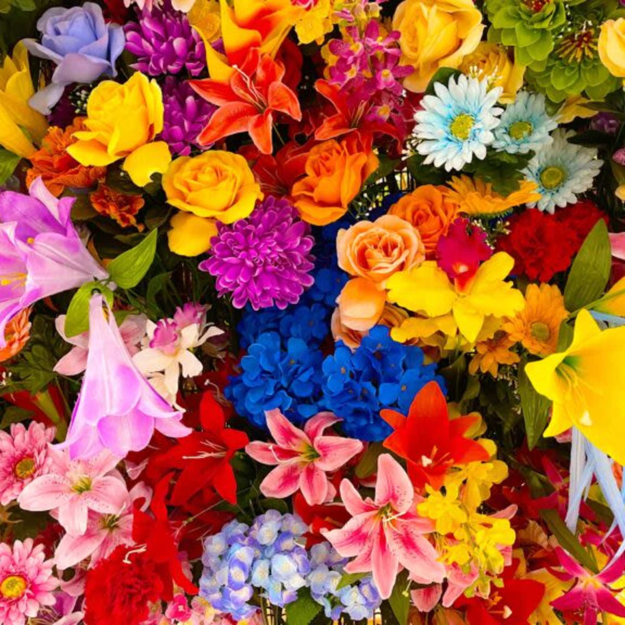 A unique selection of vibrant coloured flowers selected by our designer and