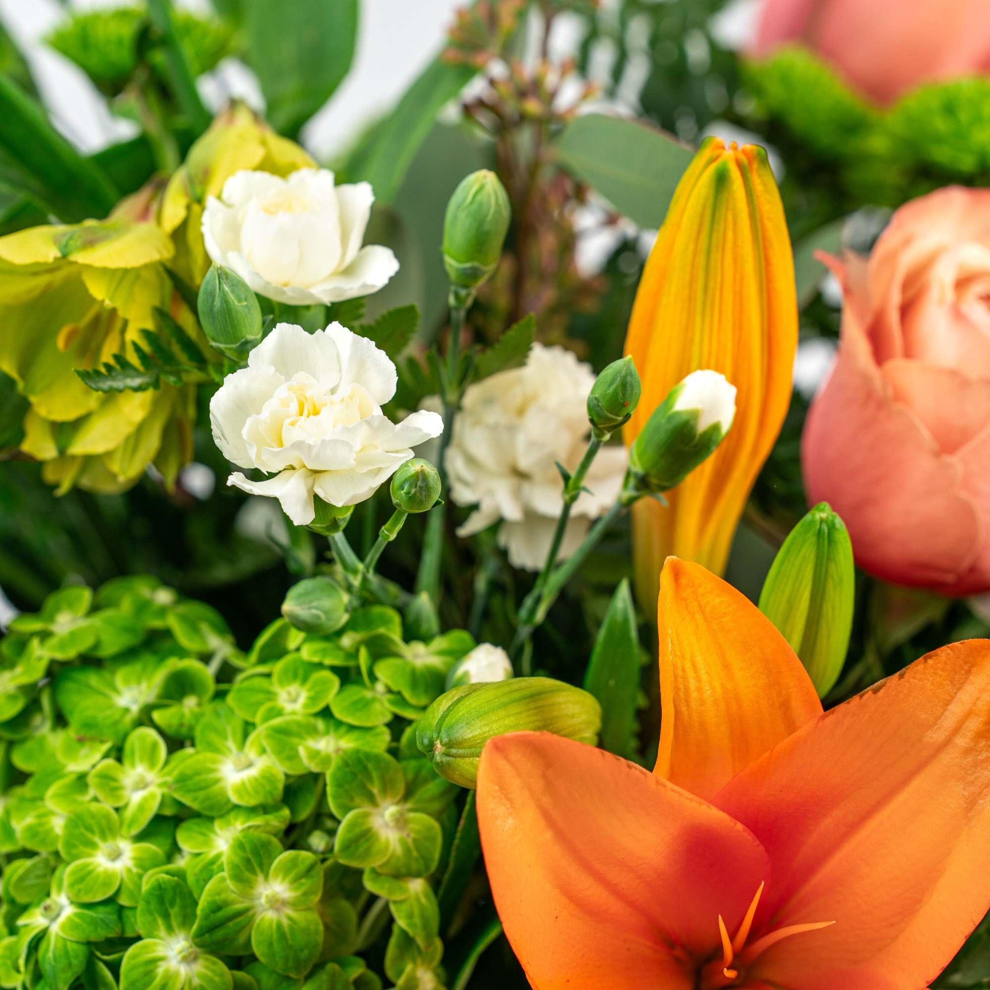 Close-up of a bright orange lily with peach roses, white carnations, and green hydrangea blooms