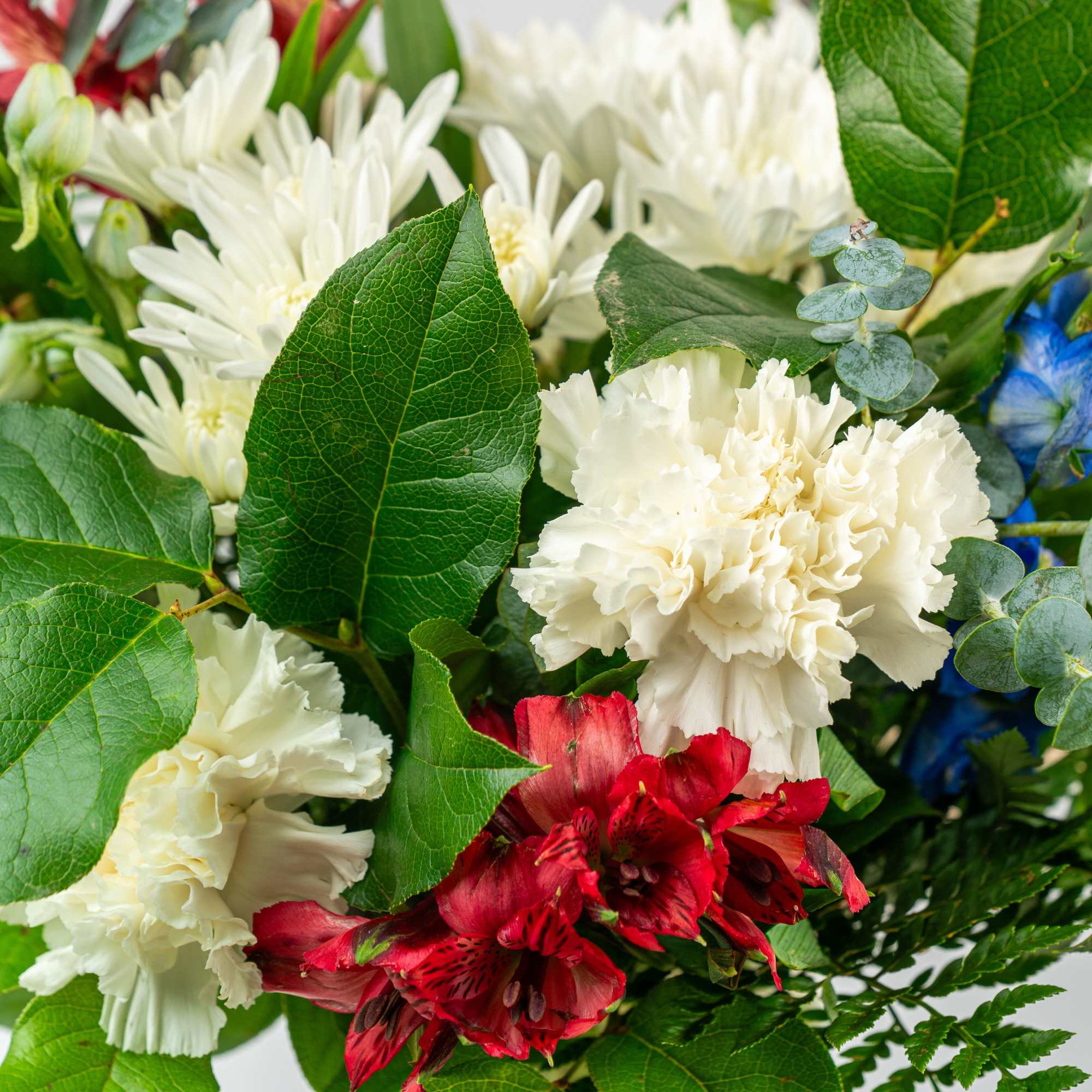 Mixed bouquet with white carnations and mums, red alstroemeria, and blue blooms with lush foliage