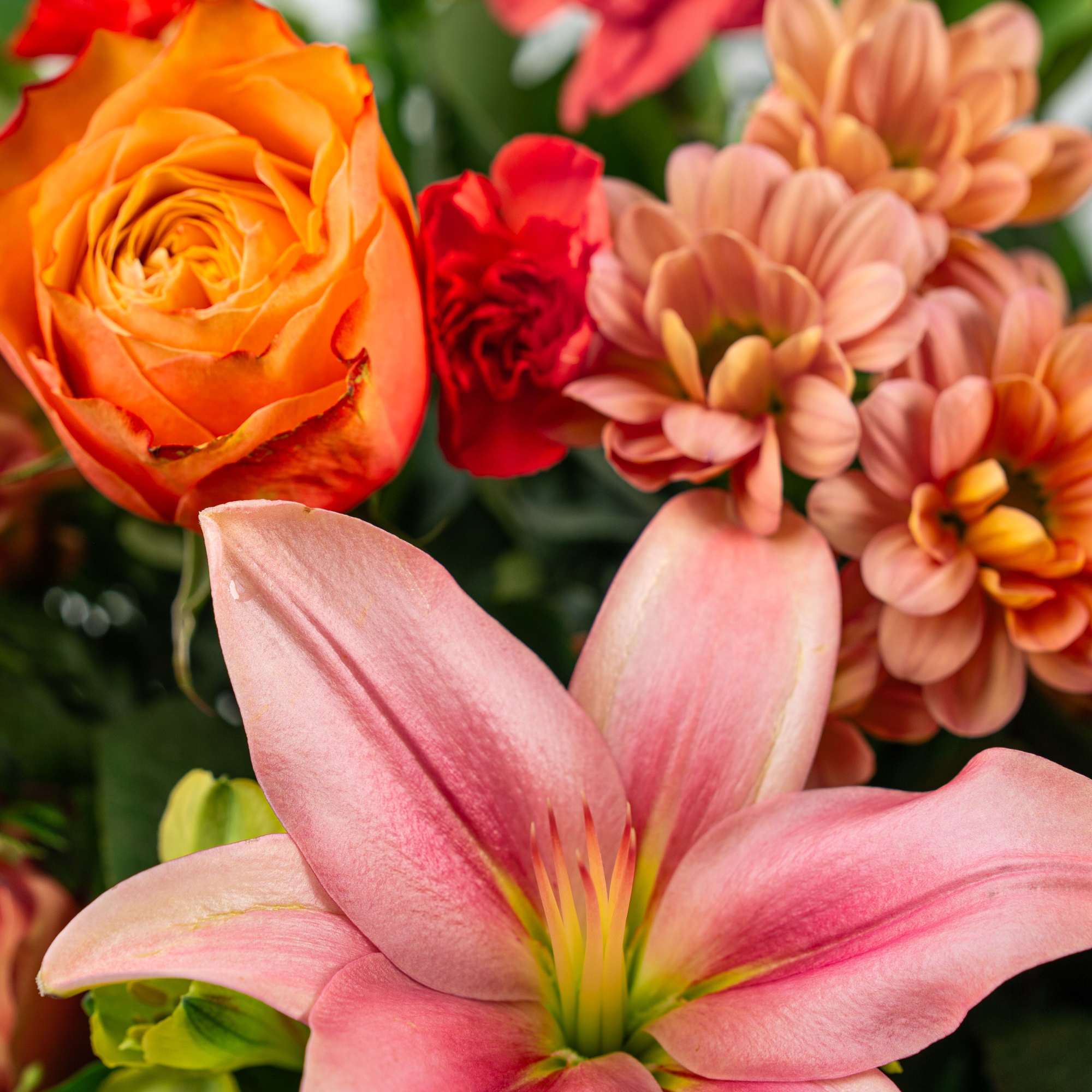 Close-up of a bright bouquet with a pink lily, orange rose, red carnation, and peach chrysanthemums.