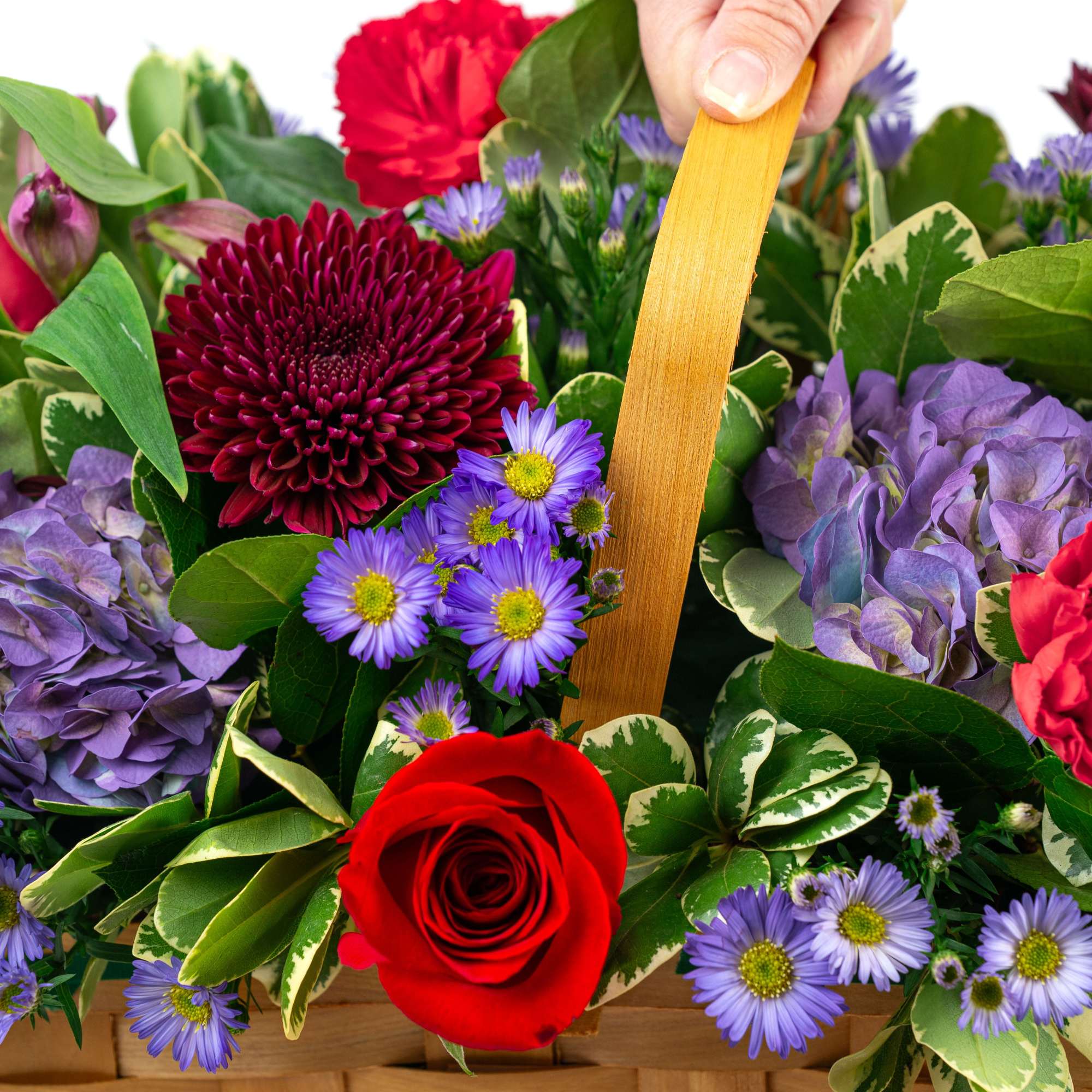 Basket of red roses, purple daisies, and hydrangeas with a hand holding the handle