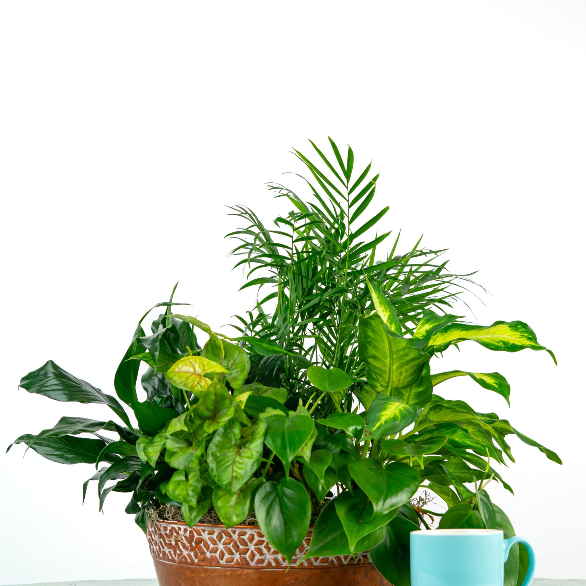 A wider, fuller design with layered textures and seasonal greens. Our Derek