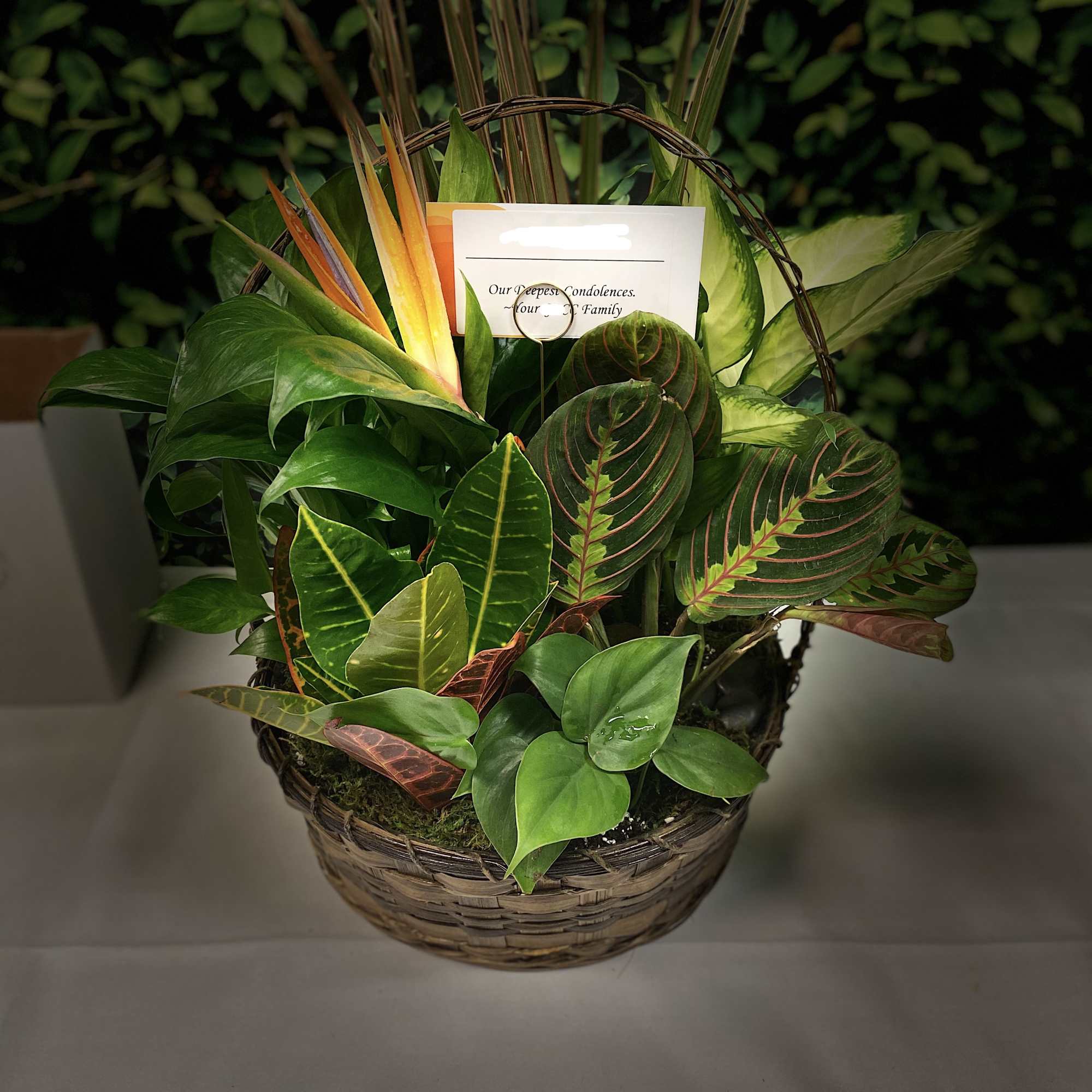 Basket of tropical plants with a condolence card