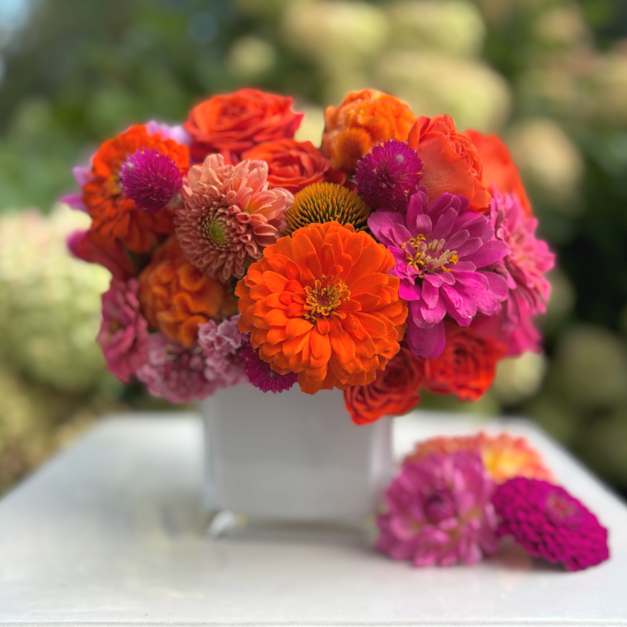 A joyful burst of color celebrating late summer designed to make a