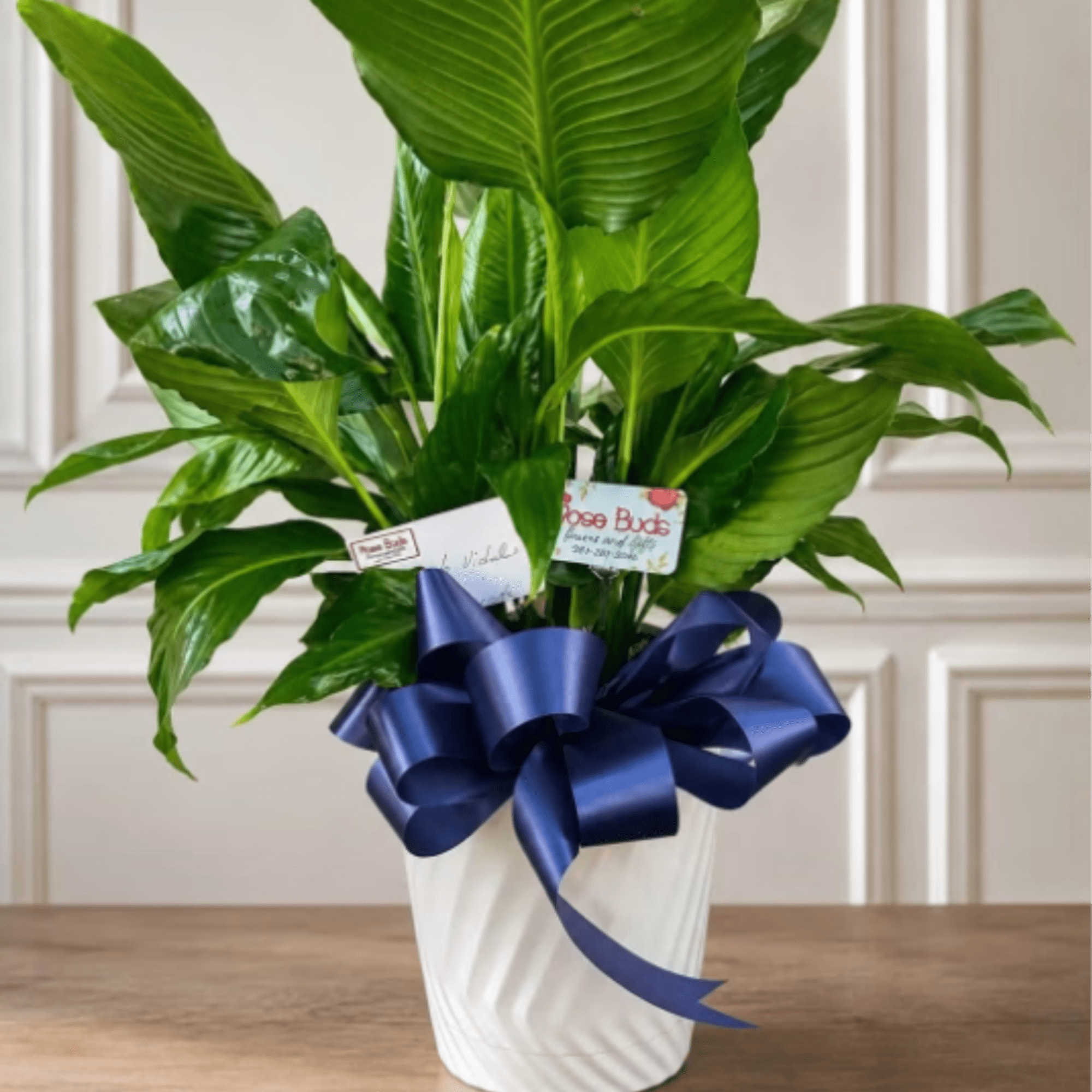 Send your condolences with this Spathiphyllum plant. APPROXIMATE DIMENSIONS: 36" H