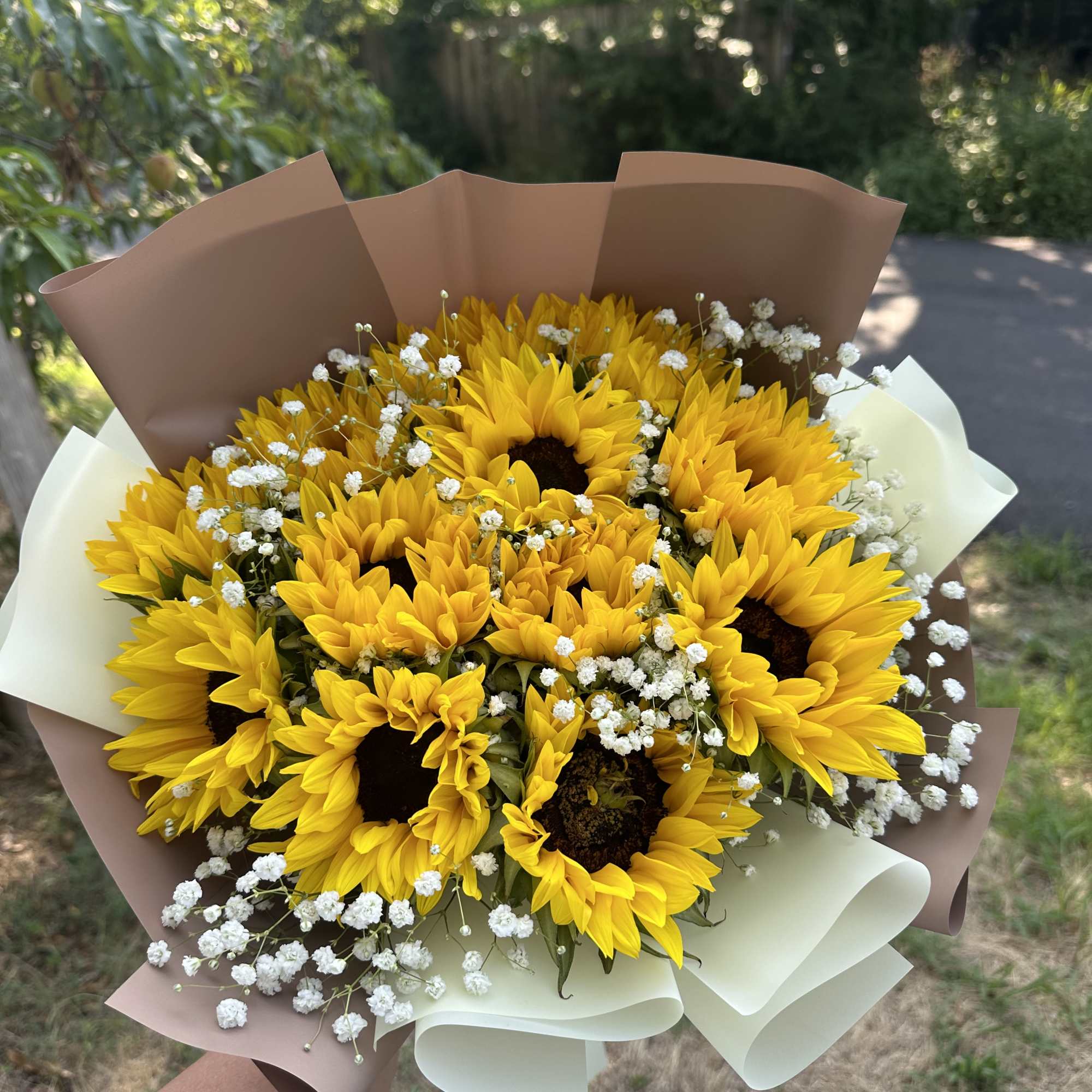 Bouquet of yellow sunflowers with white baby's breath in brown and white paper