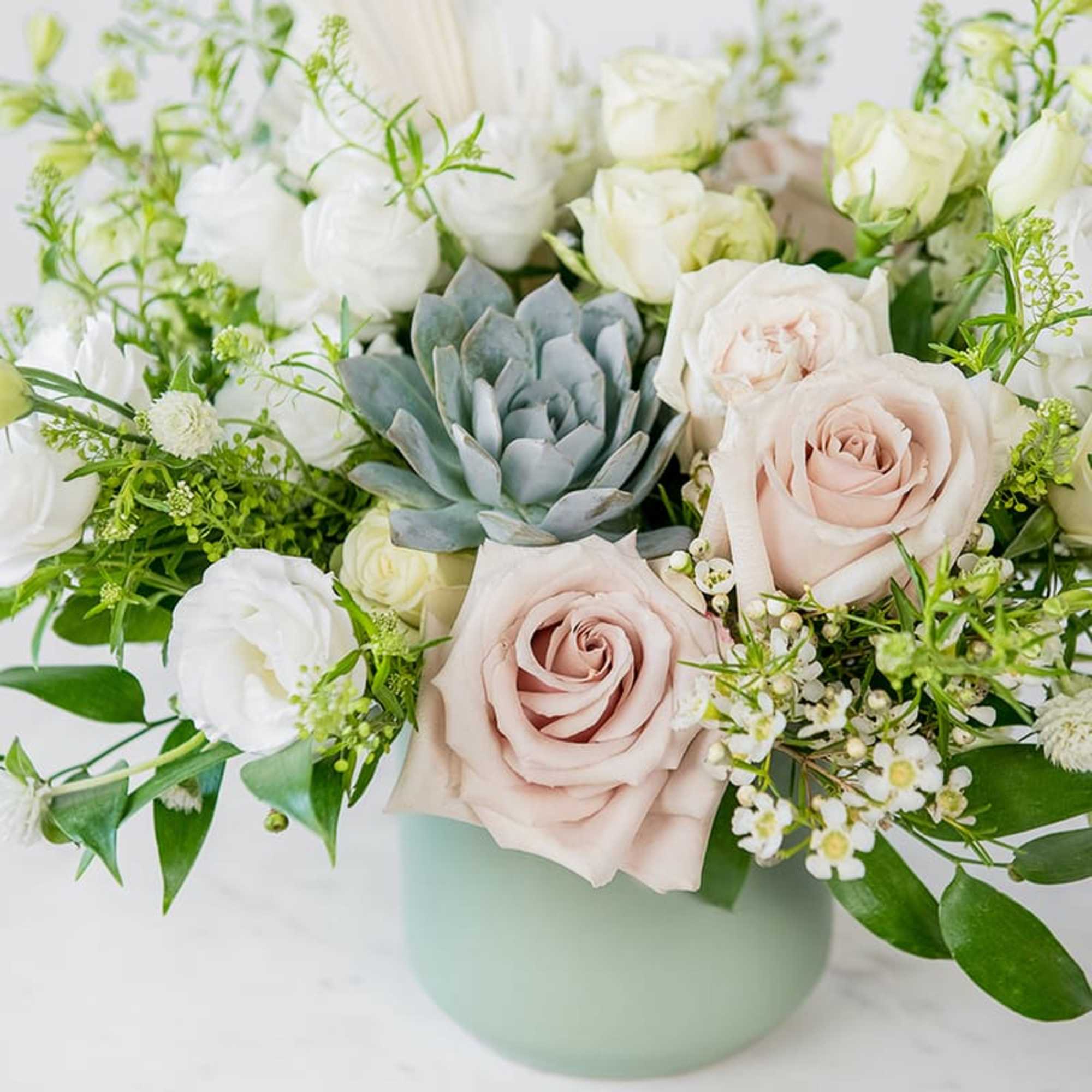 Blush and white roses in a pale green vase with a blue-green succulent