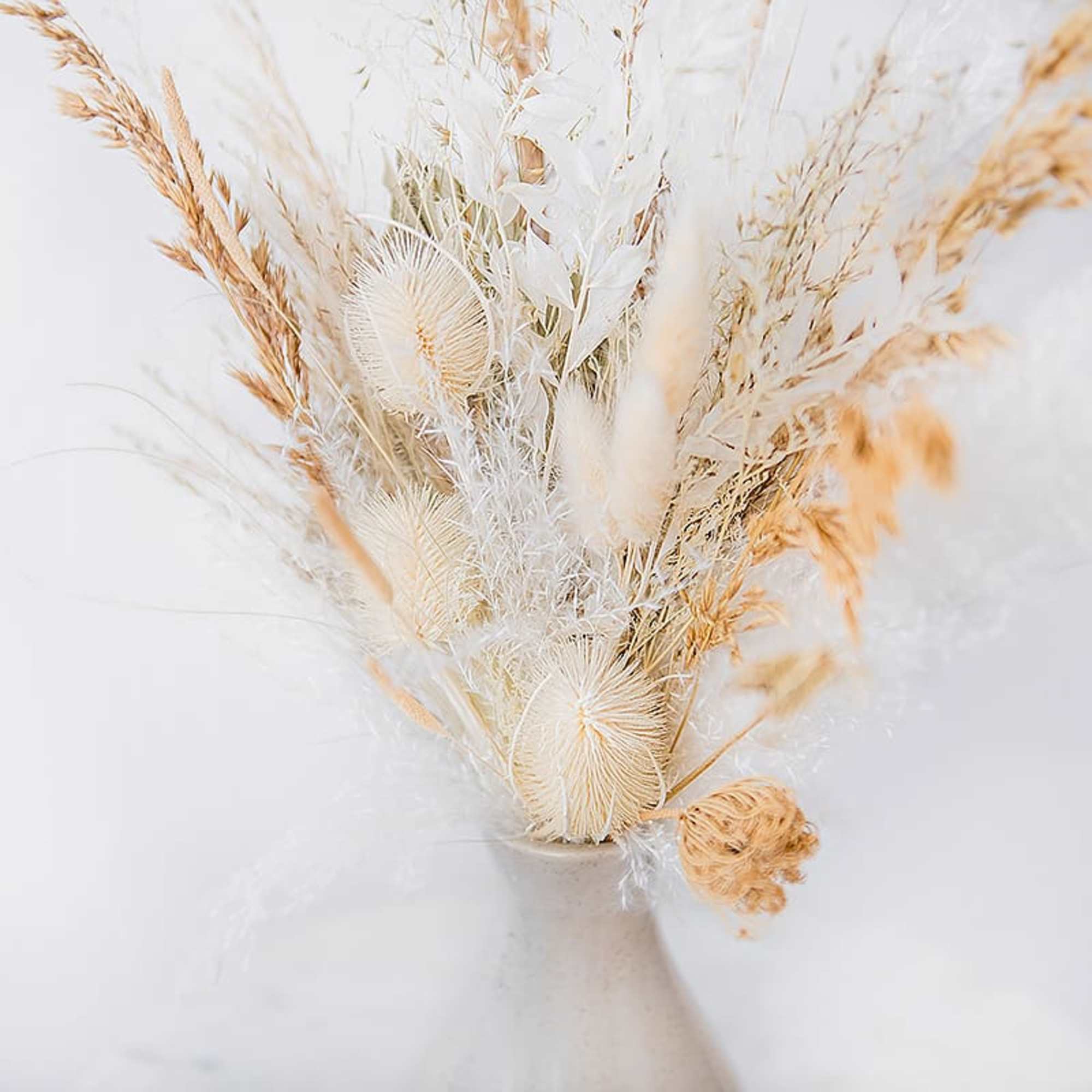 Dried beige and white grasses in a ceramic vase