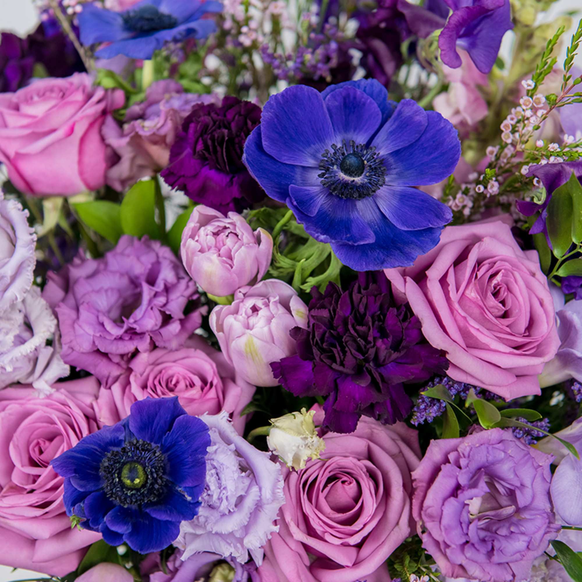 Bouquet of pink and purple roses with blue anemones