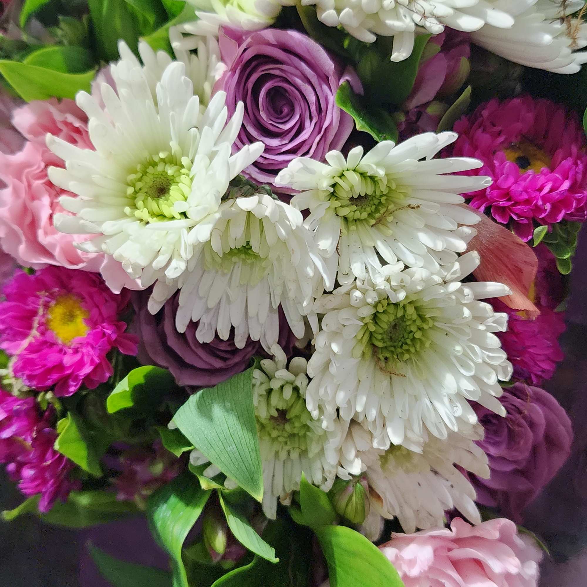 Bouquet of white daisies, purple roses, and pink carnations