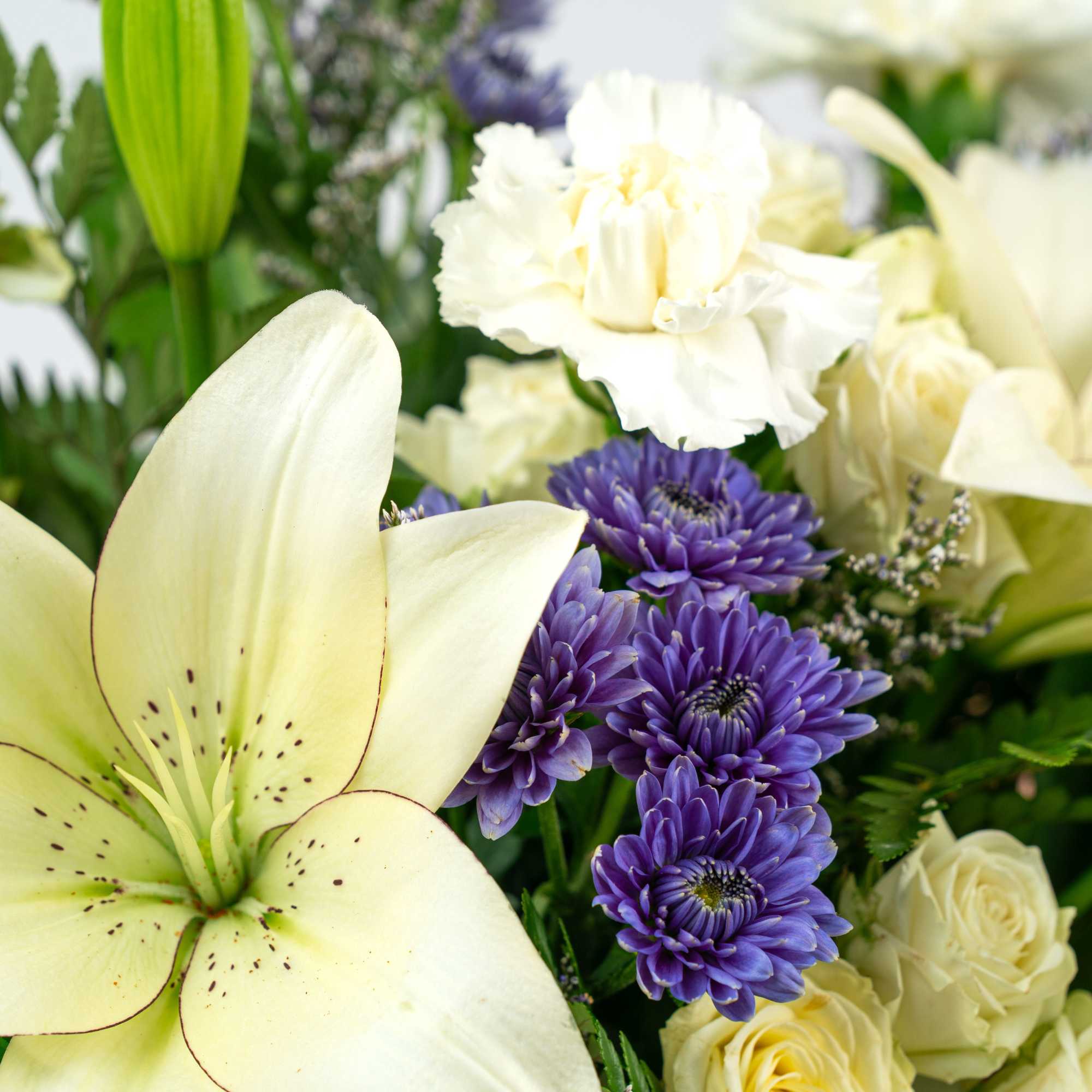 Bouquet of white lilies, cream roses, and purple daisies
