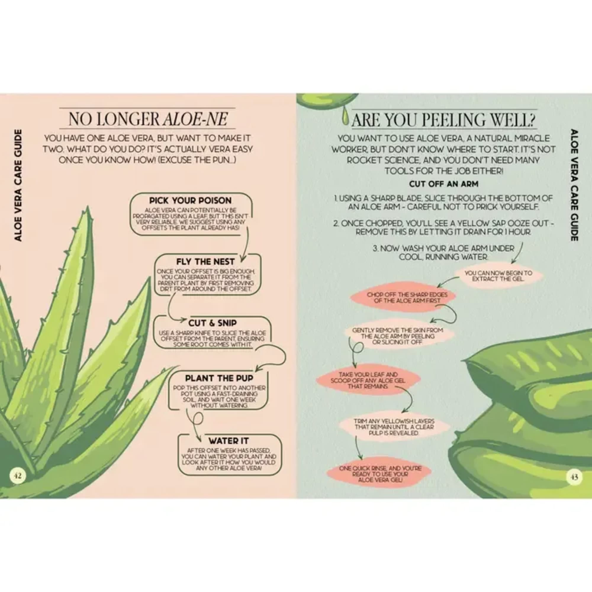 Illustrated aloe vera care guide with two pages of text and drawings