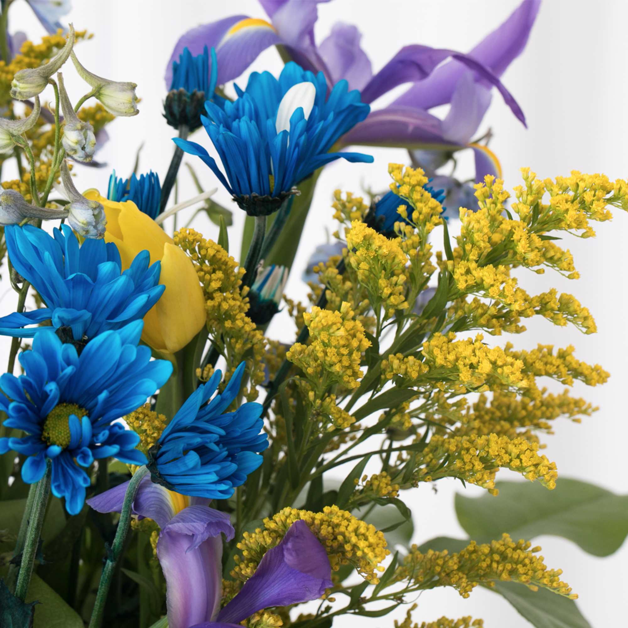 Bright bouquet with blue mums, yellow blooms, and purple irises against a light background