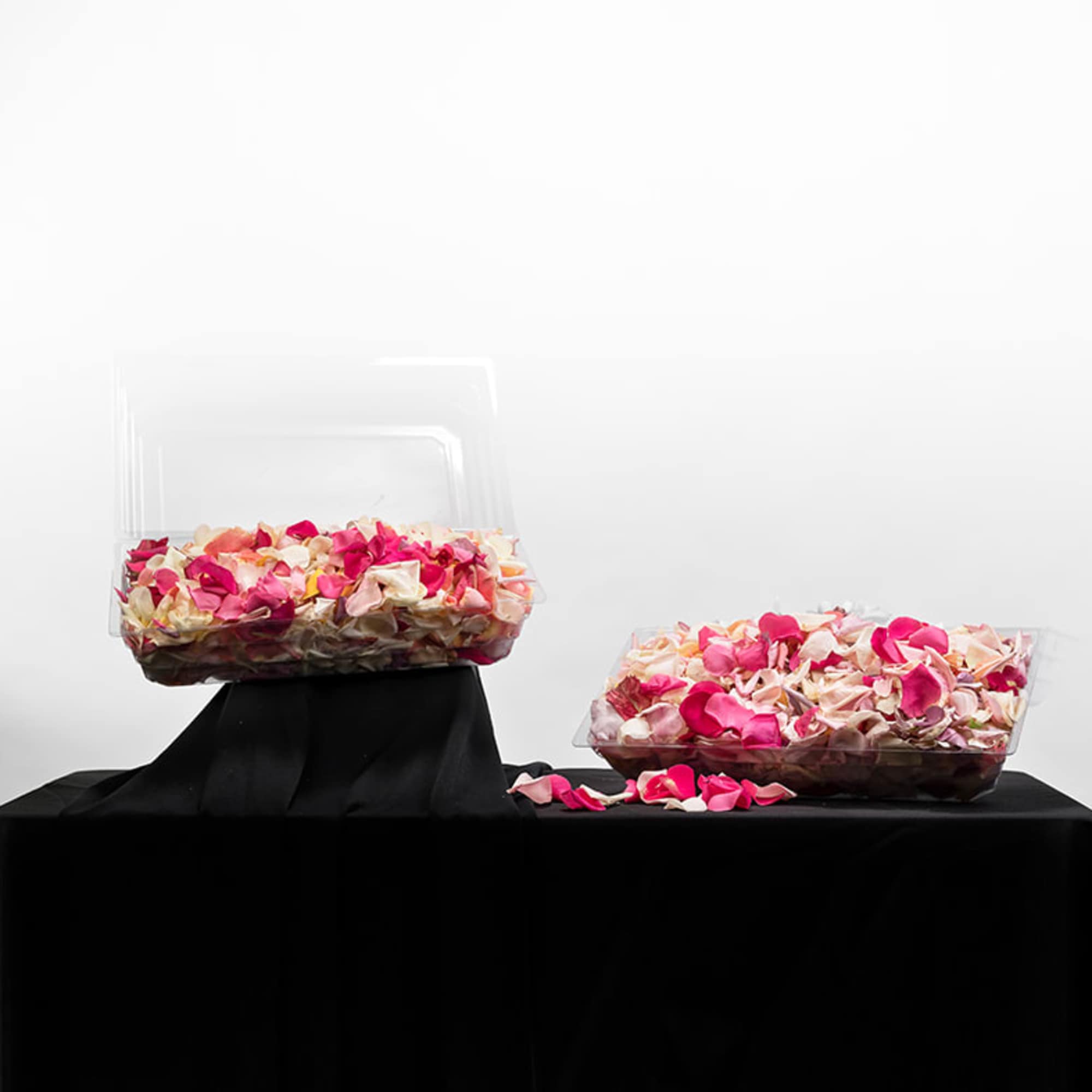 Clear plastic boxes filled with pink and ivory rose petals on a black-draped surface